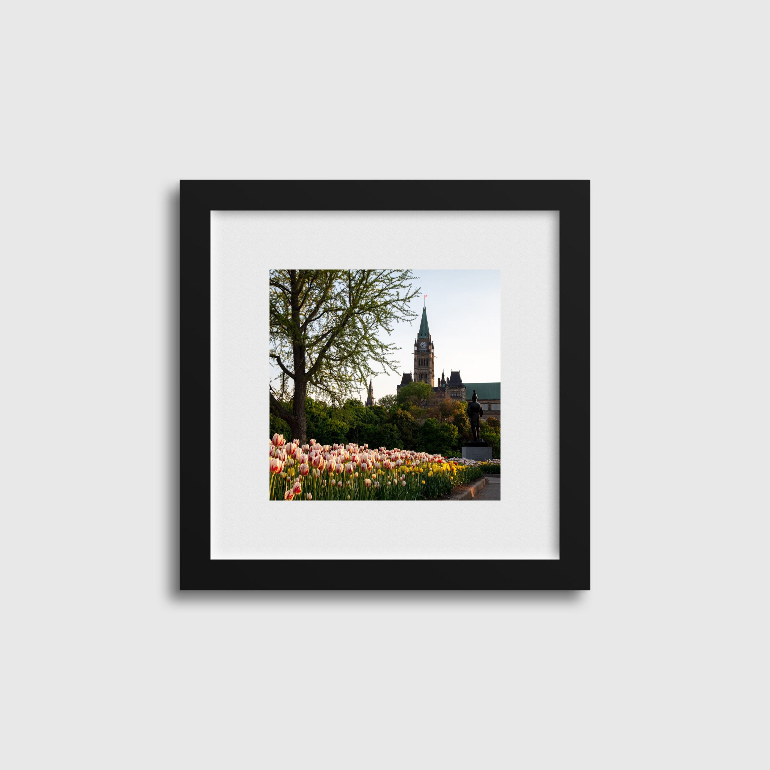 Sunset Tulips Peace Tower View