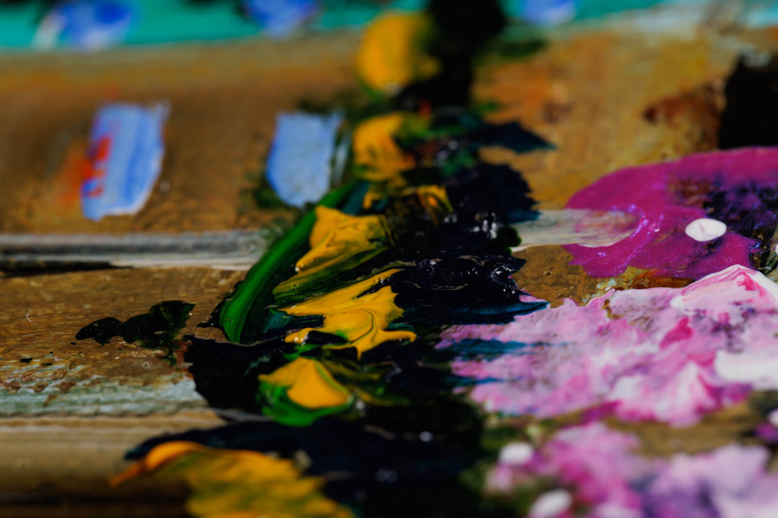 Springtime In Ottawa