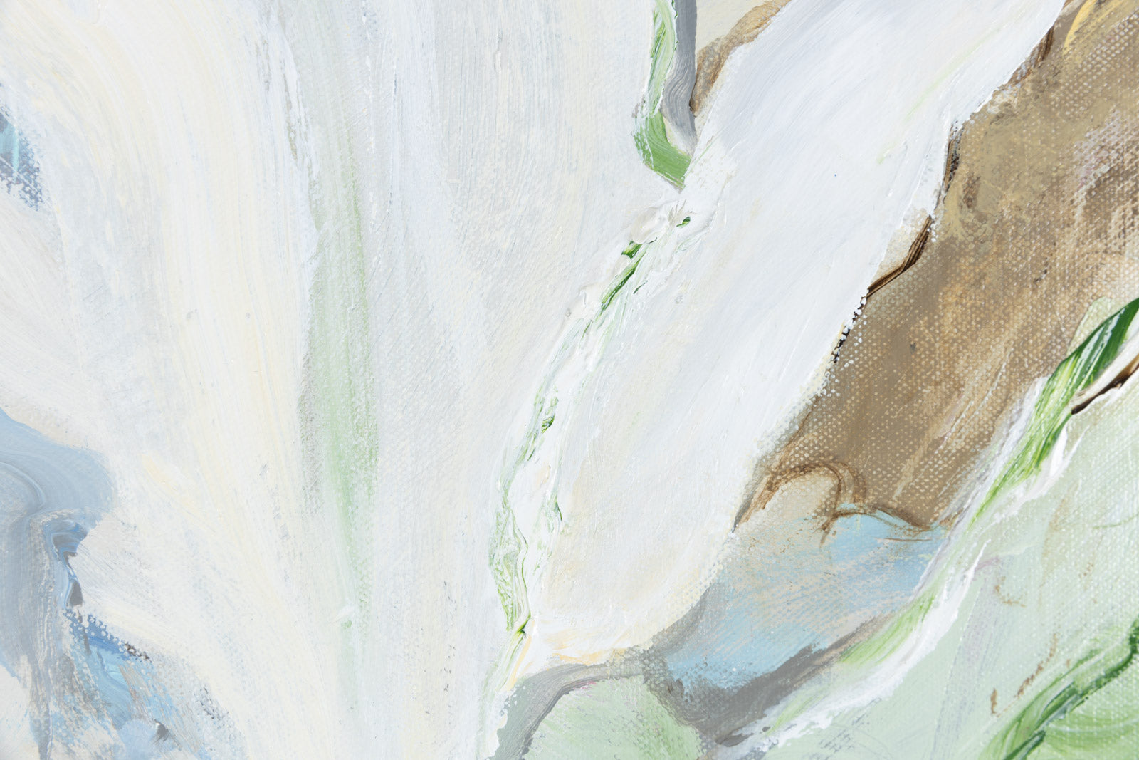 Calla Lily