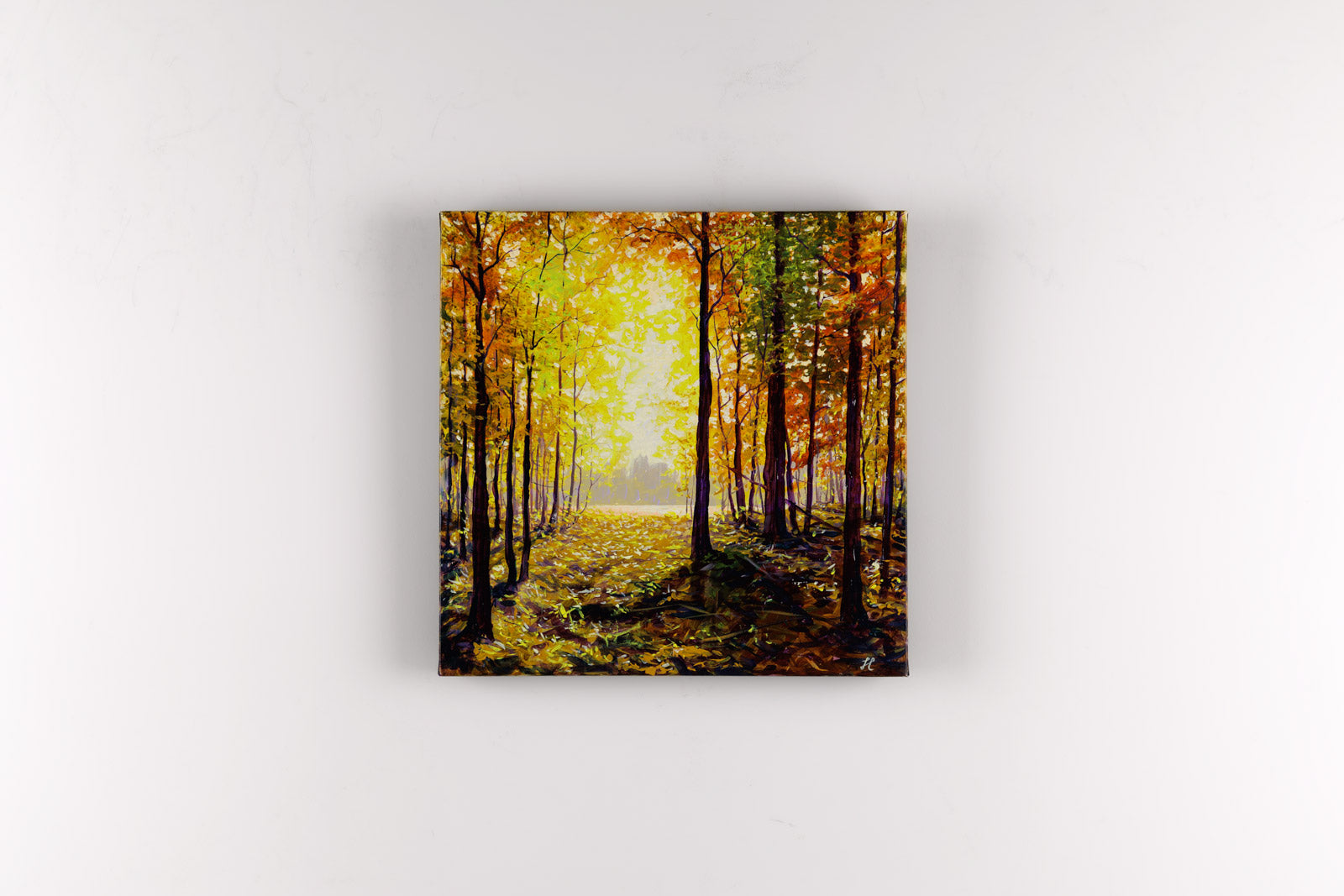 Morning Bliss, Lake Kingsmere