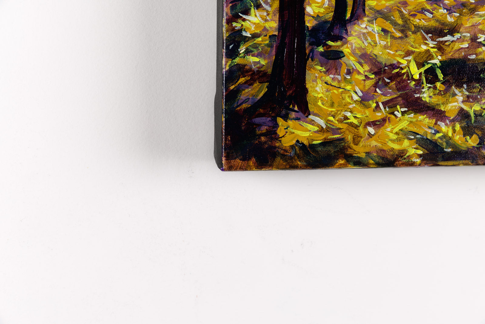 Morning Bliss, Lake Kingsmere