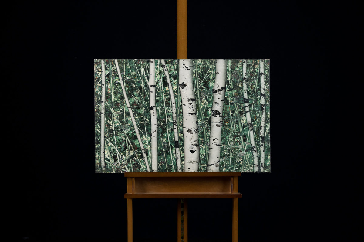 Ken Vincent, "Woodland Birches 1131," acrylic on panel, 21 x 32 in, nature painting with birches