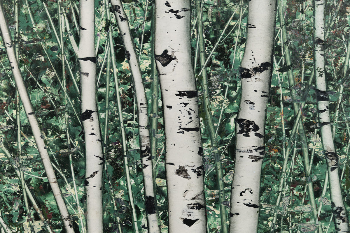 Ken Vincent, "Woodland Birches 1131," detail view, acrylic on panel
