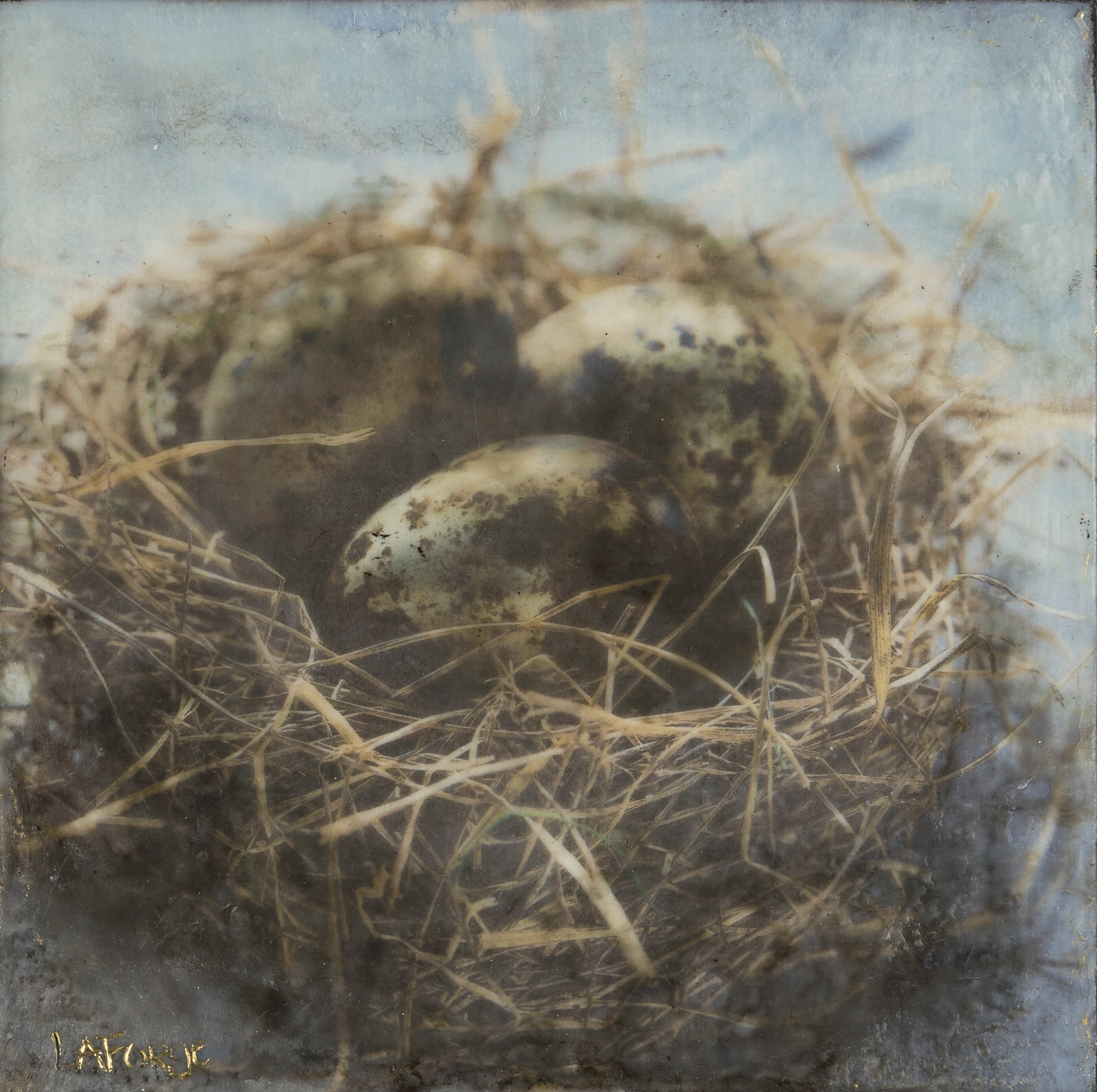 Birds “In The Nest” by Lee Anne LaForge – encaustic on panel.