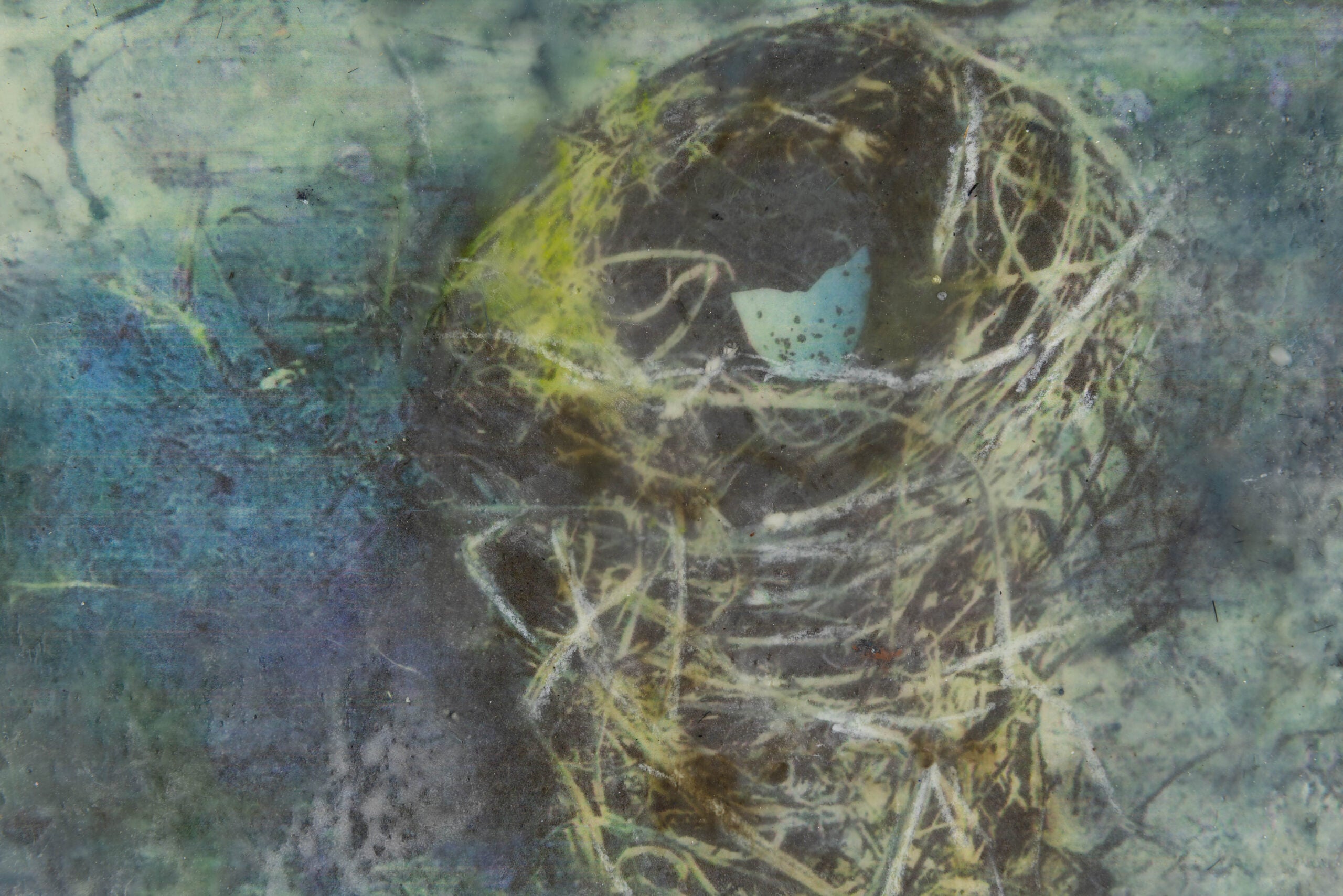 The Empty Nest