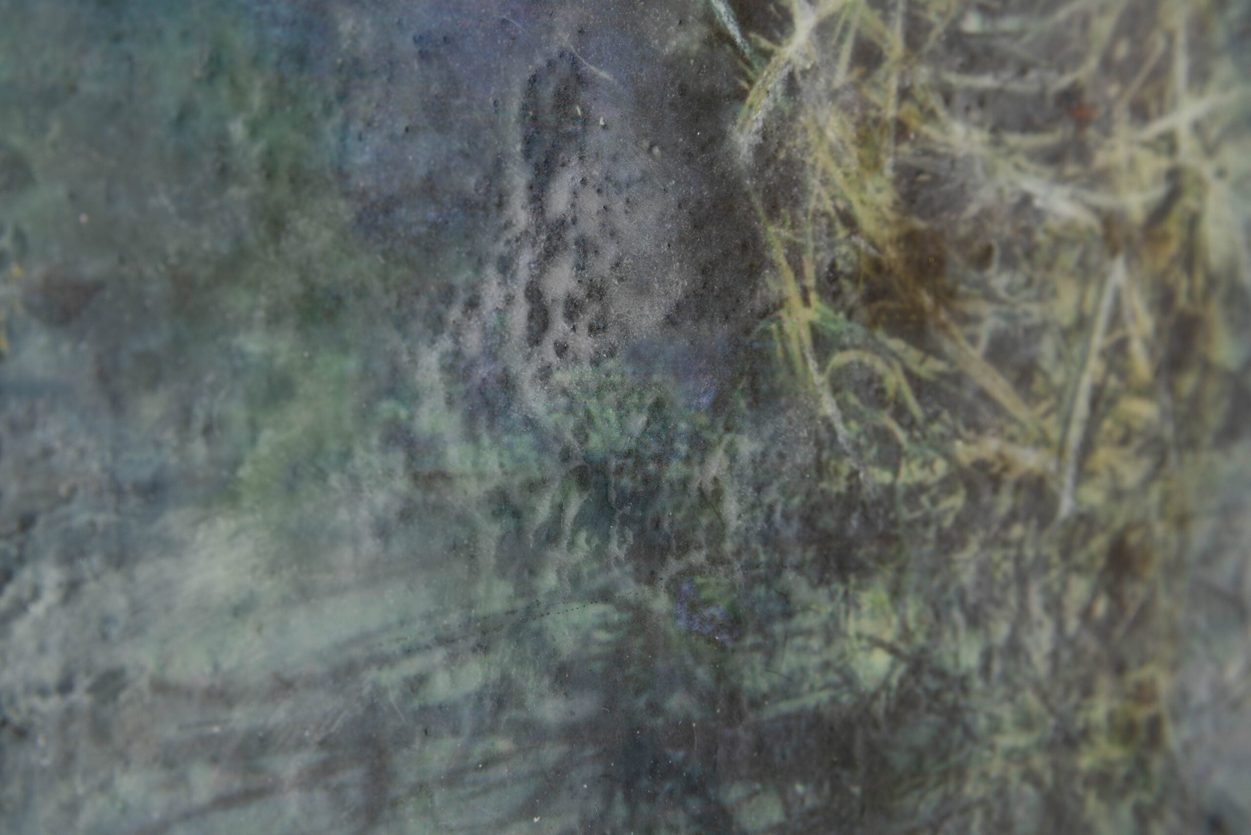 The Empty Nest