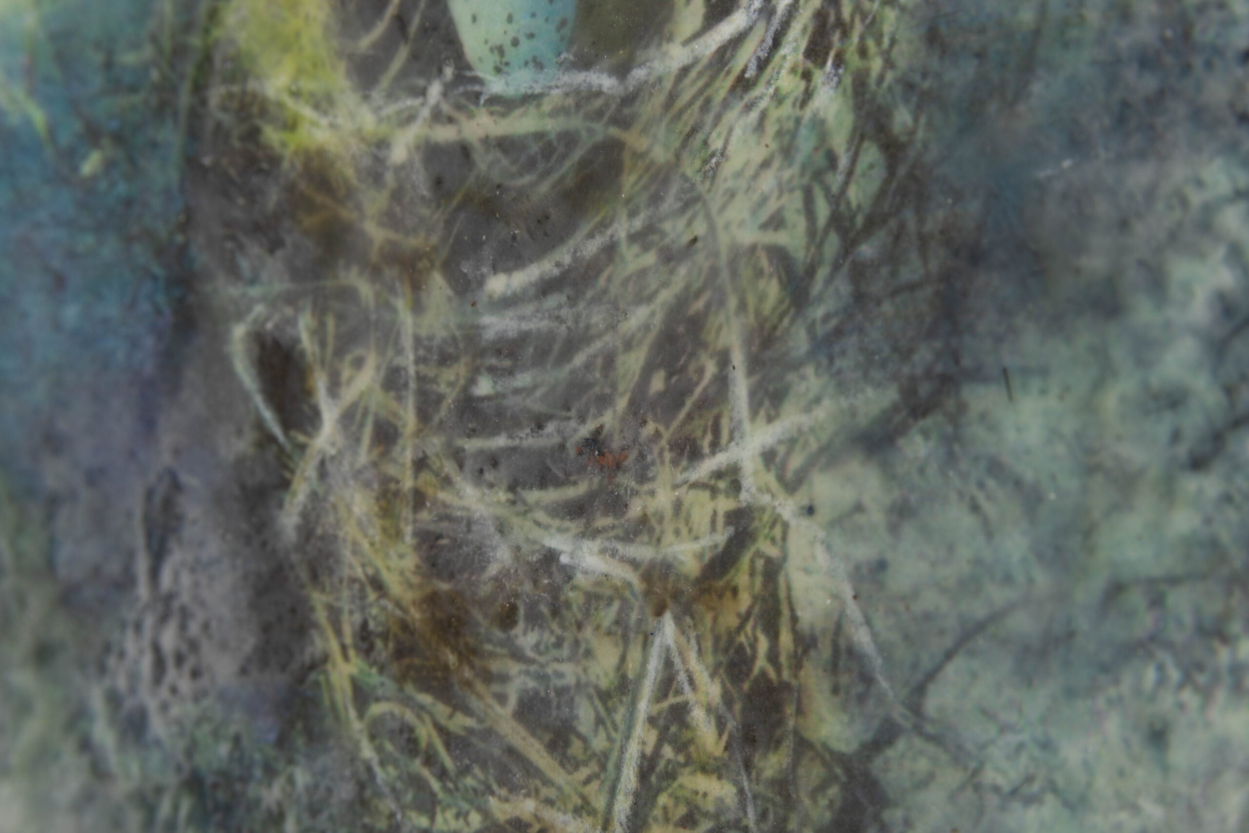 The Empty Nest