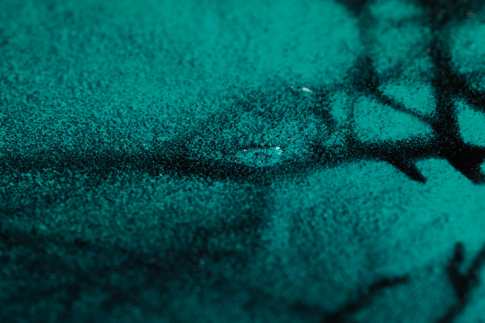 The Light That Shines From Within