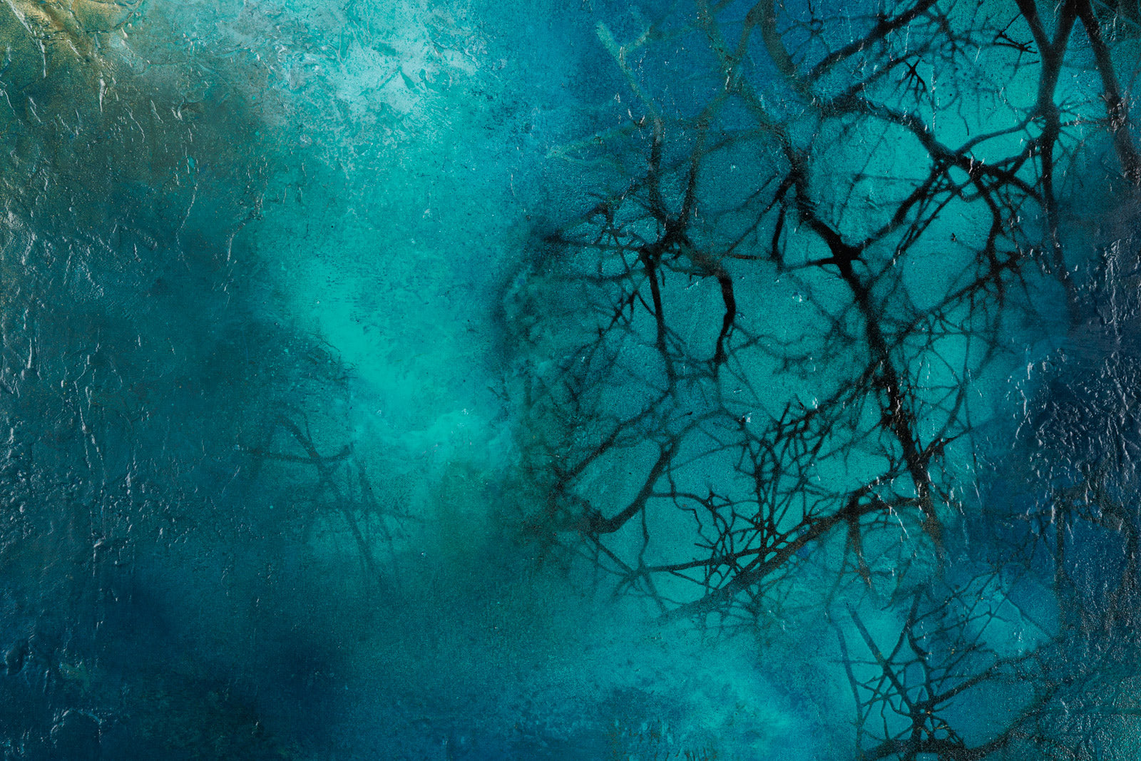 The Light That Shines From Within