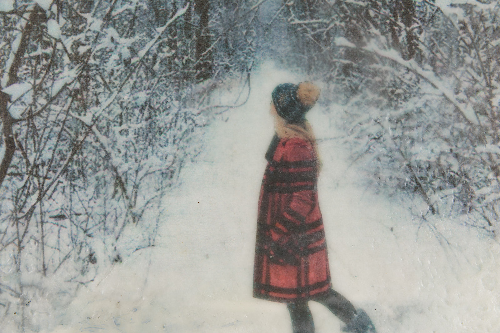 A Walk In The Woods On A Winter Day