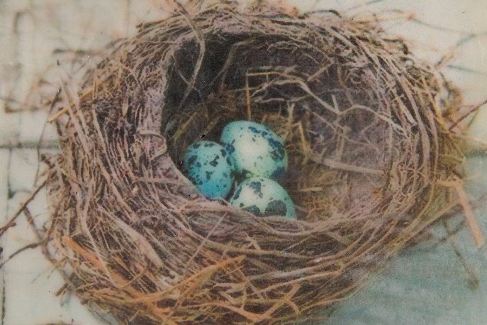 Three In Together This Fine Weather