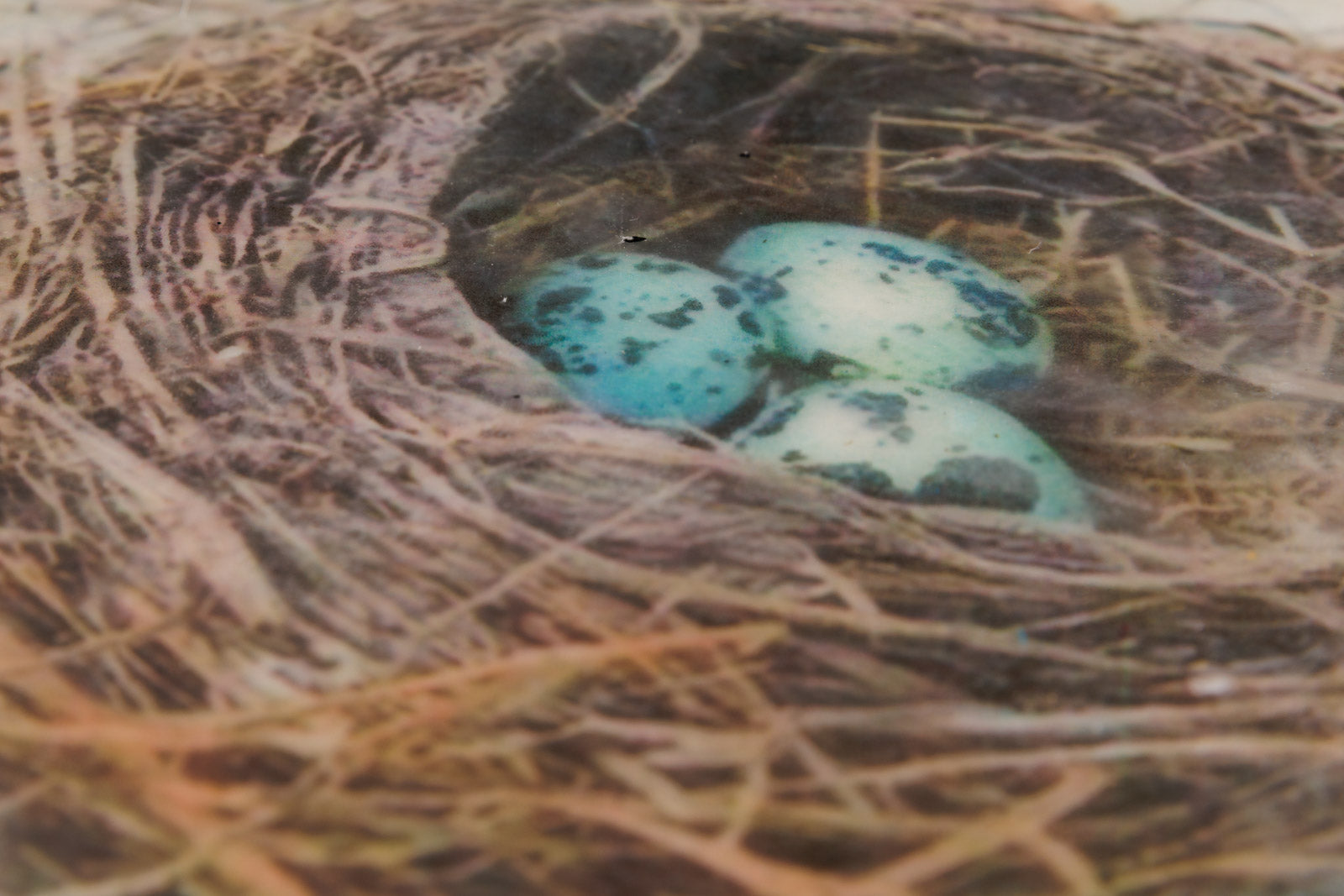 Three In Together This Fine Weather