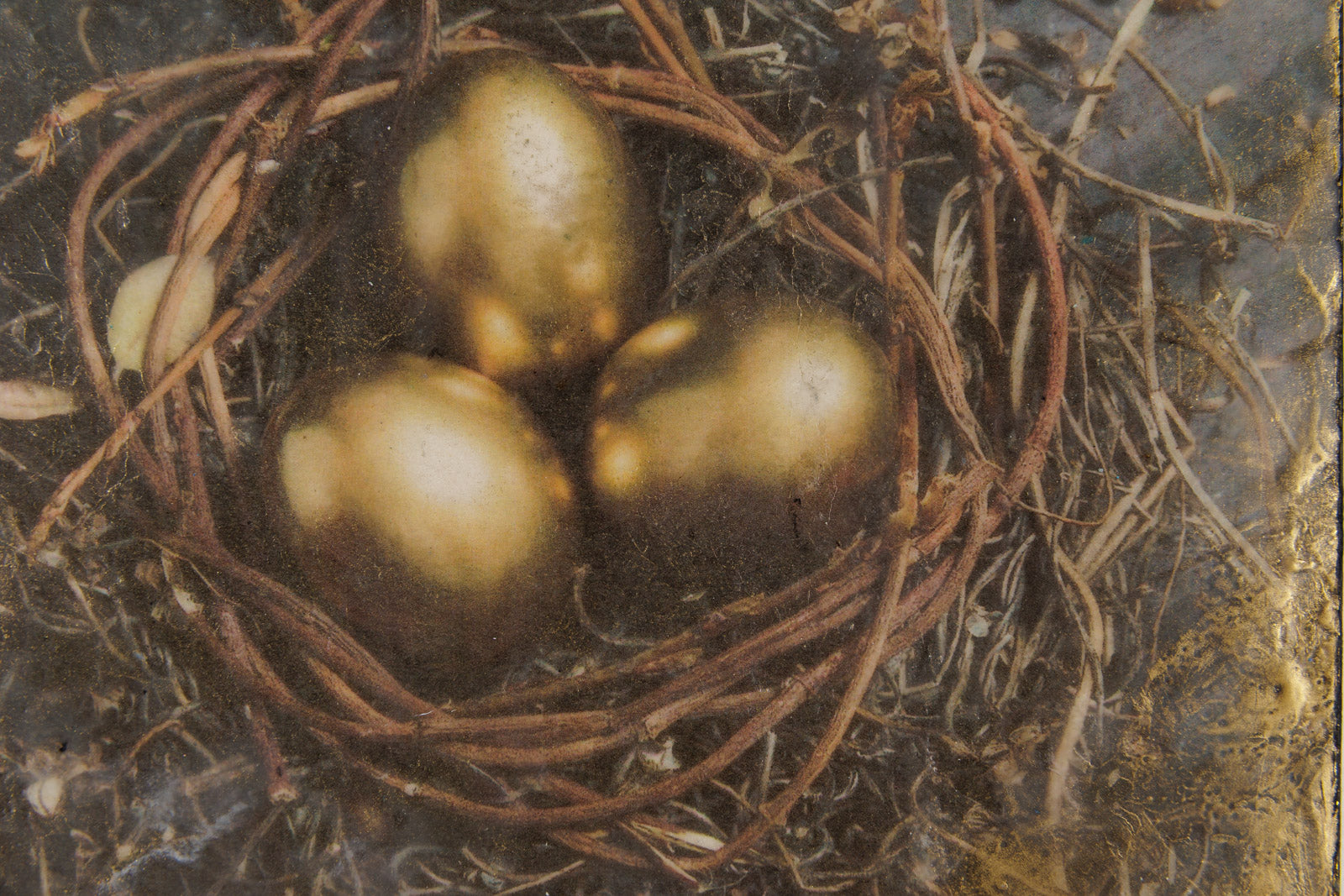 Our Golden Nest Eggs