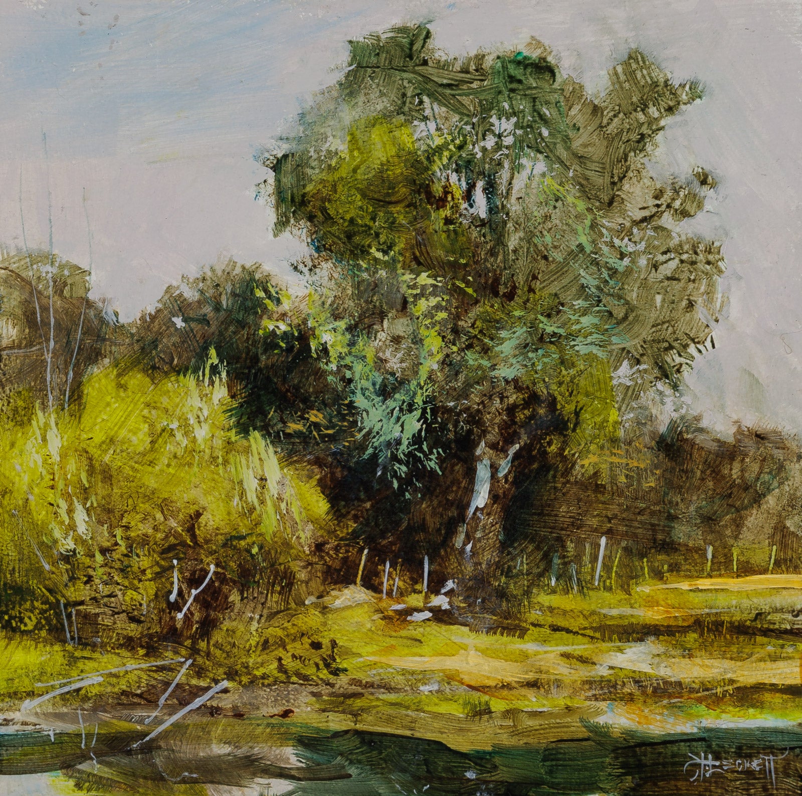 Bur Oak
