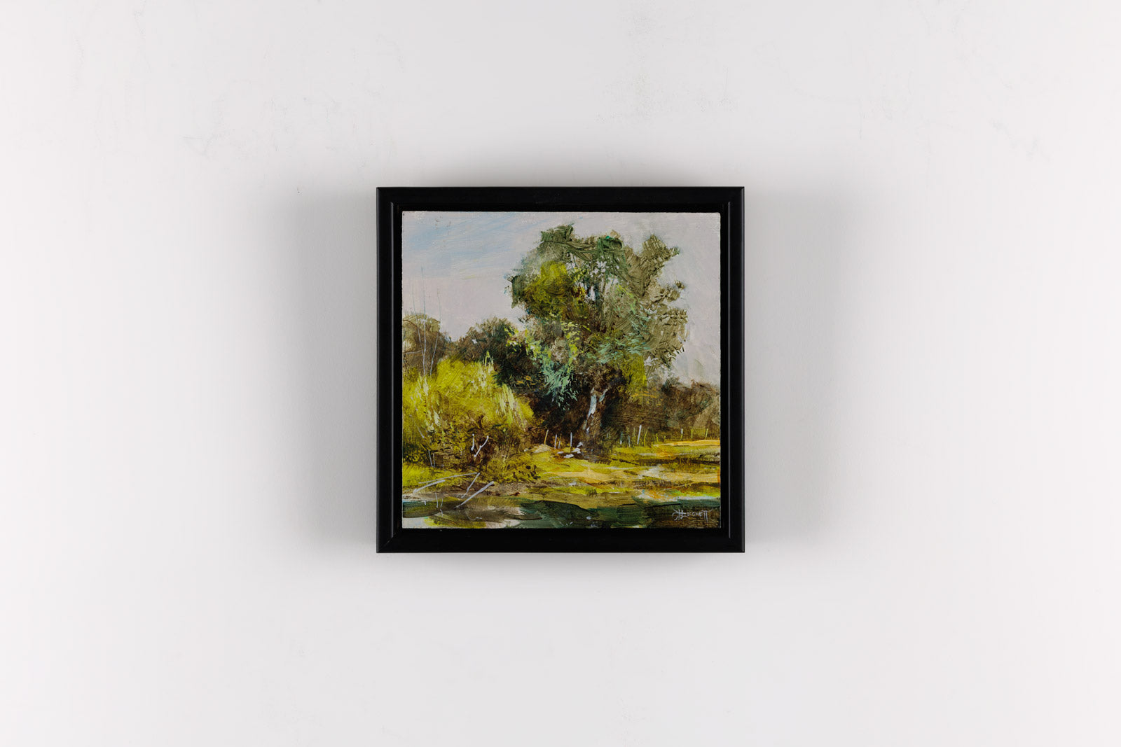 Bur Oak