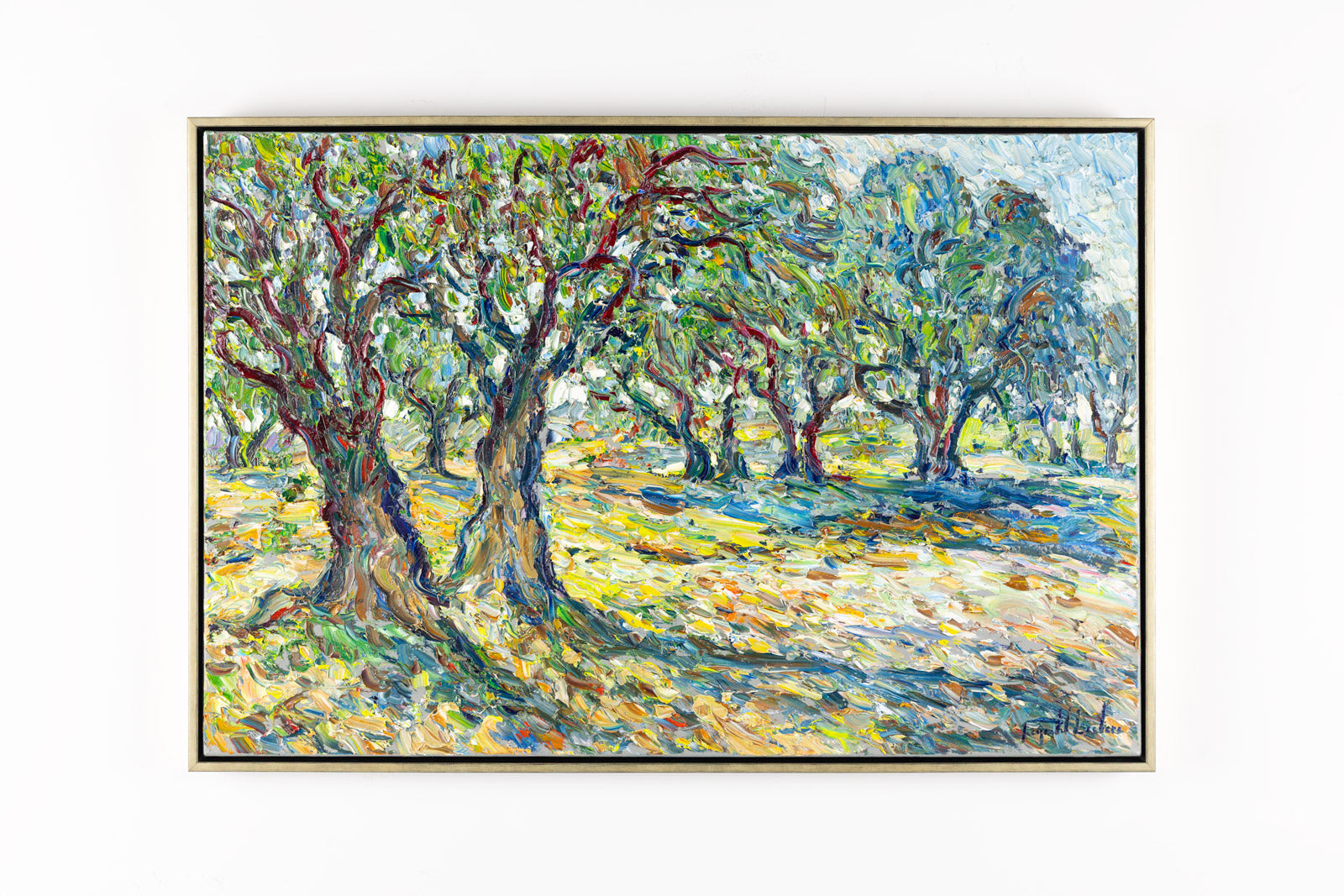 Les Oliviers Du Domaine Saviou