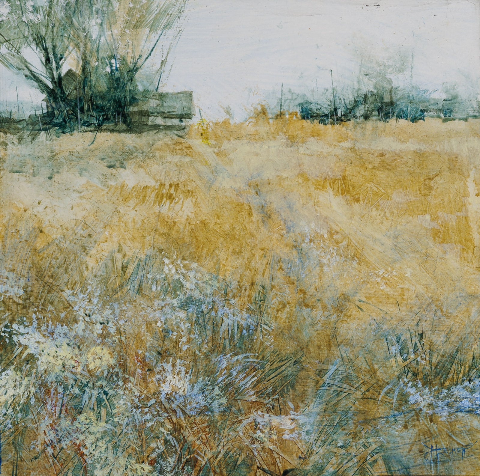 Amber Meadow