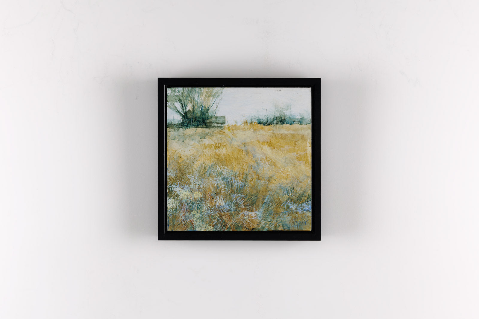 Amber Meadow
