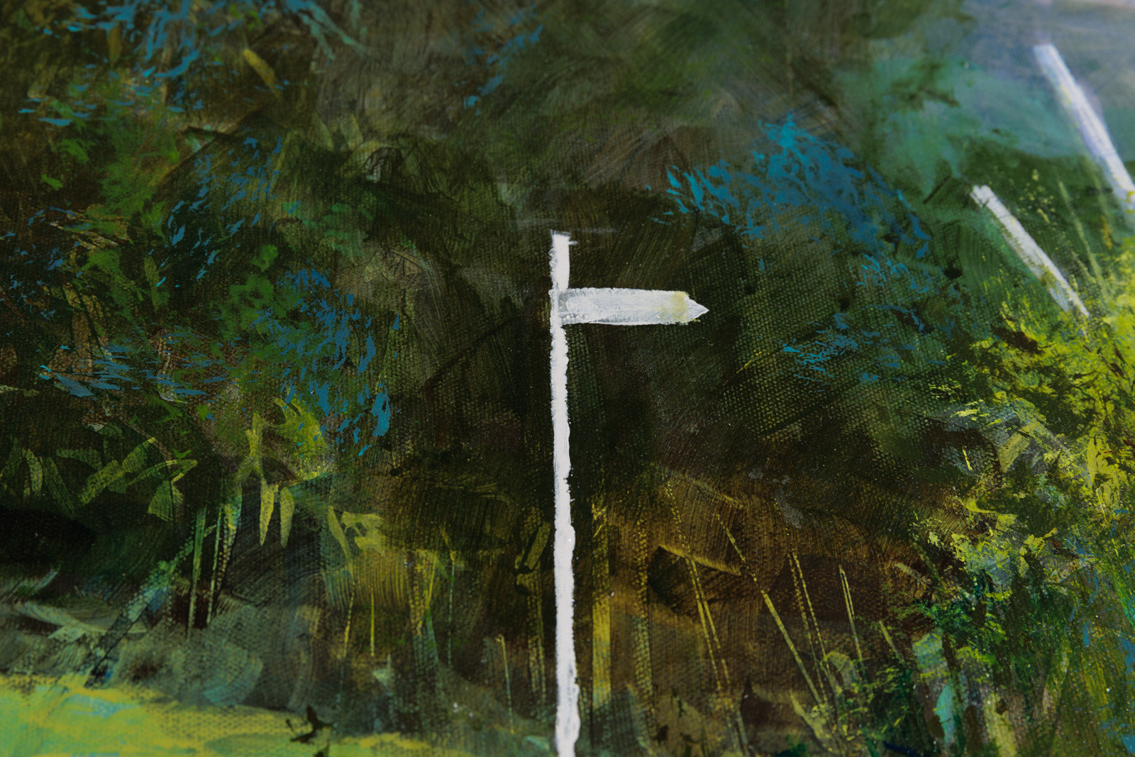 Lost In The Highlands