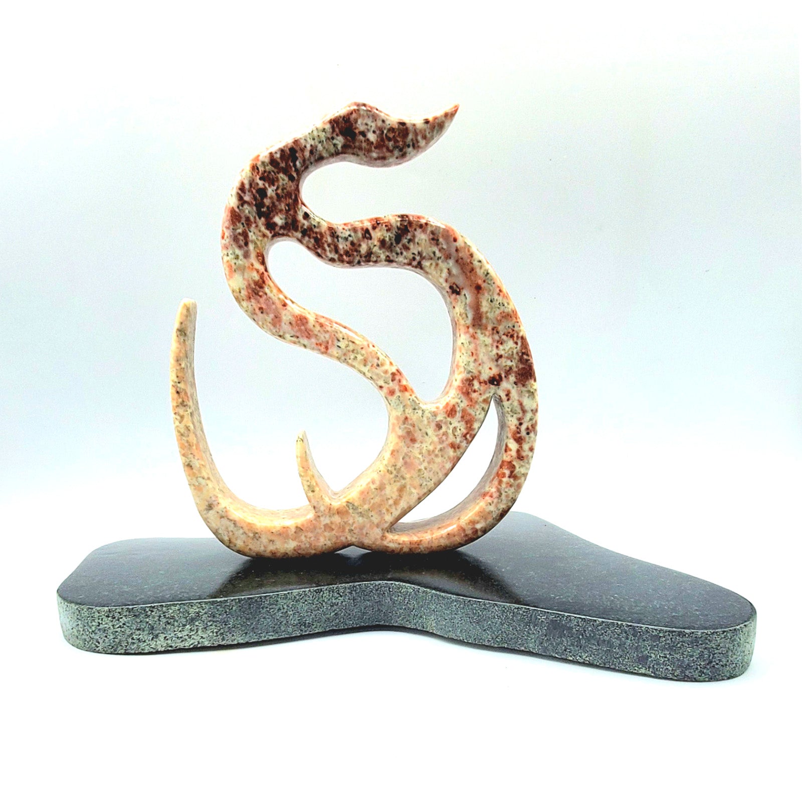 Birds “Sunset Swan” by Nick Leniuk – wonderstone.