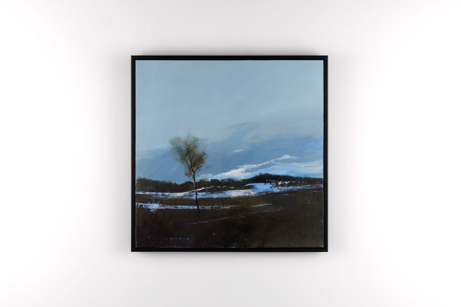 Fallow Field