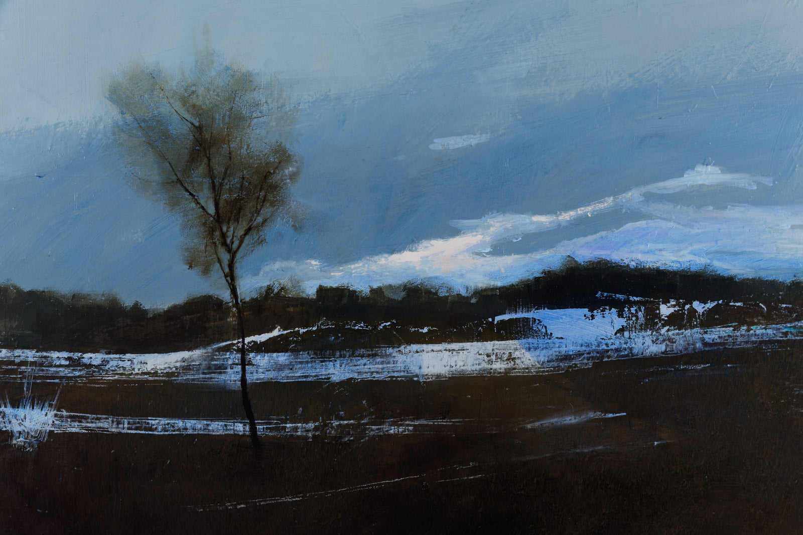 Fallow Field