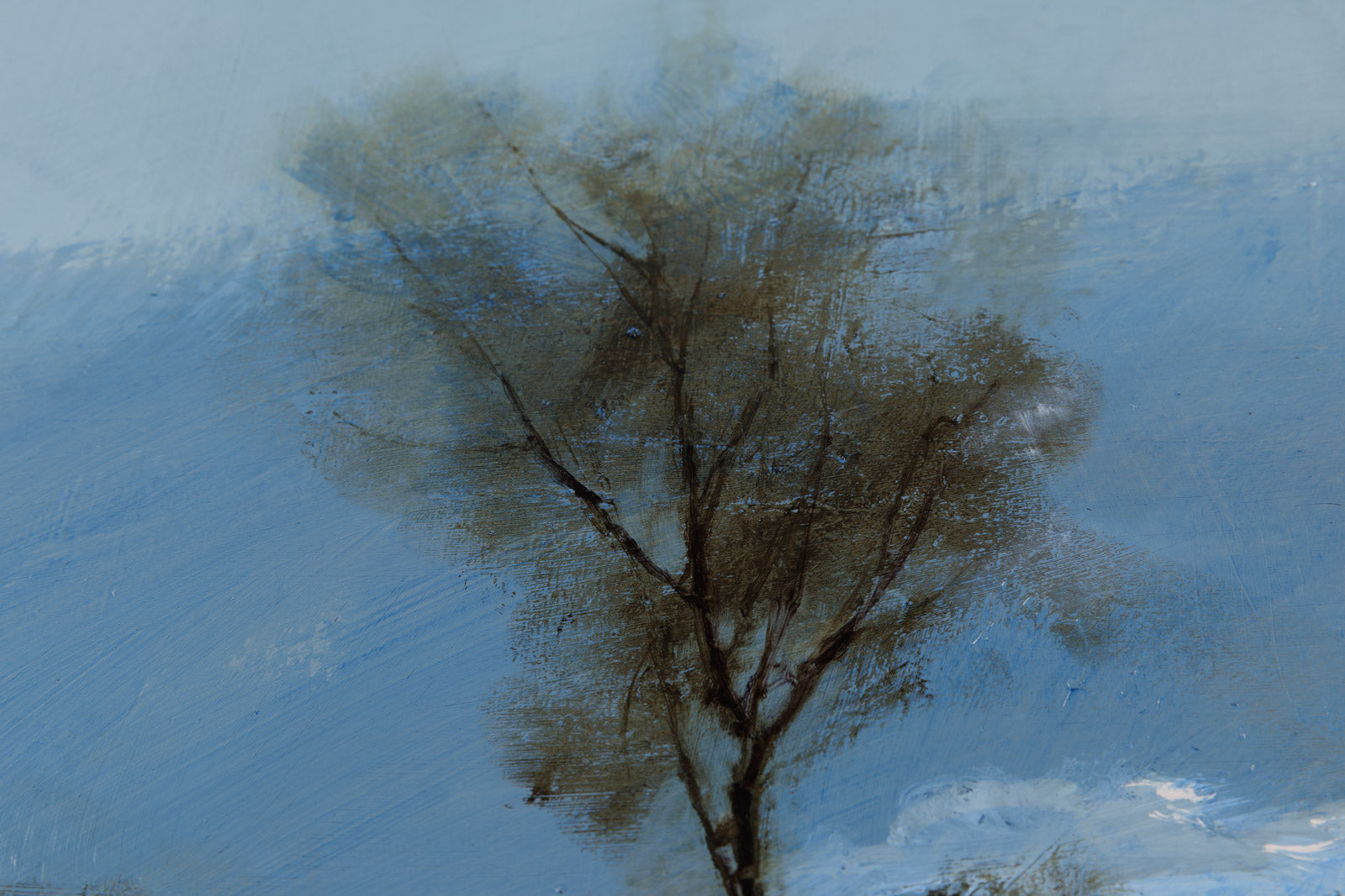 Fallow Field