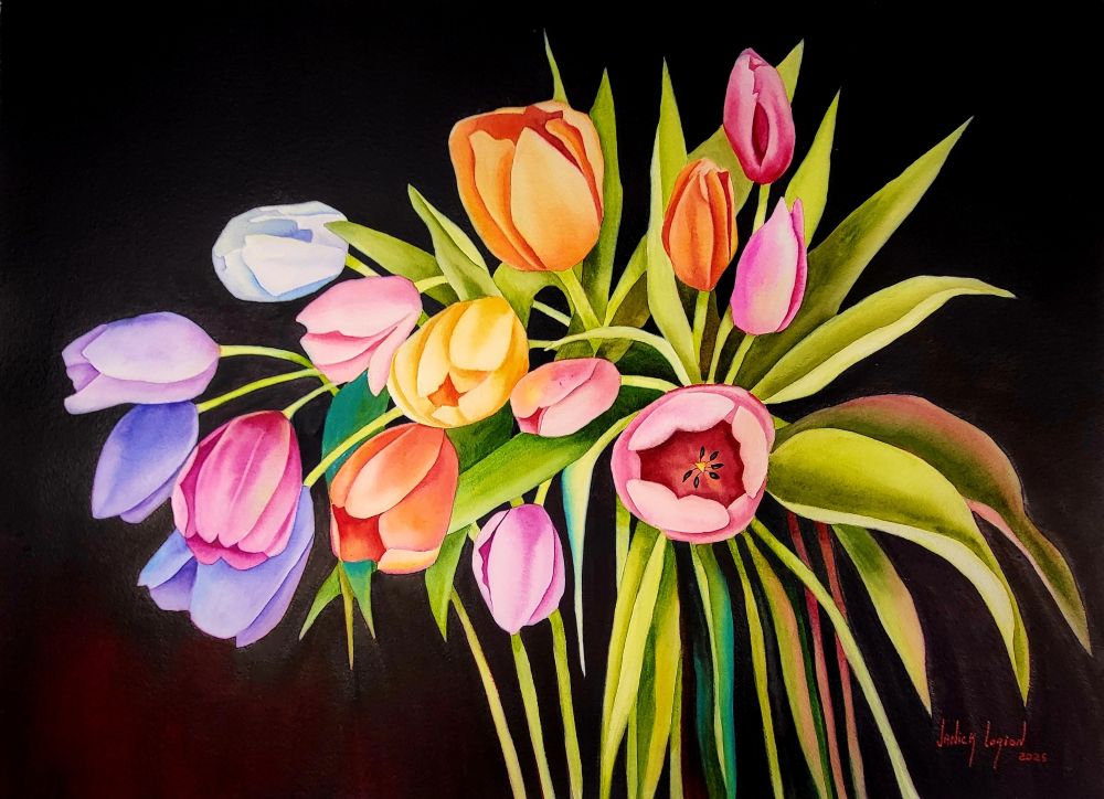 Floral “Tulip Rainbow” by Janick Lorion – watercolour on paper.