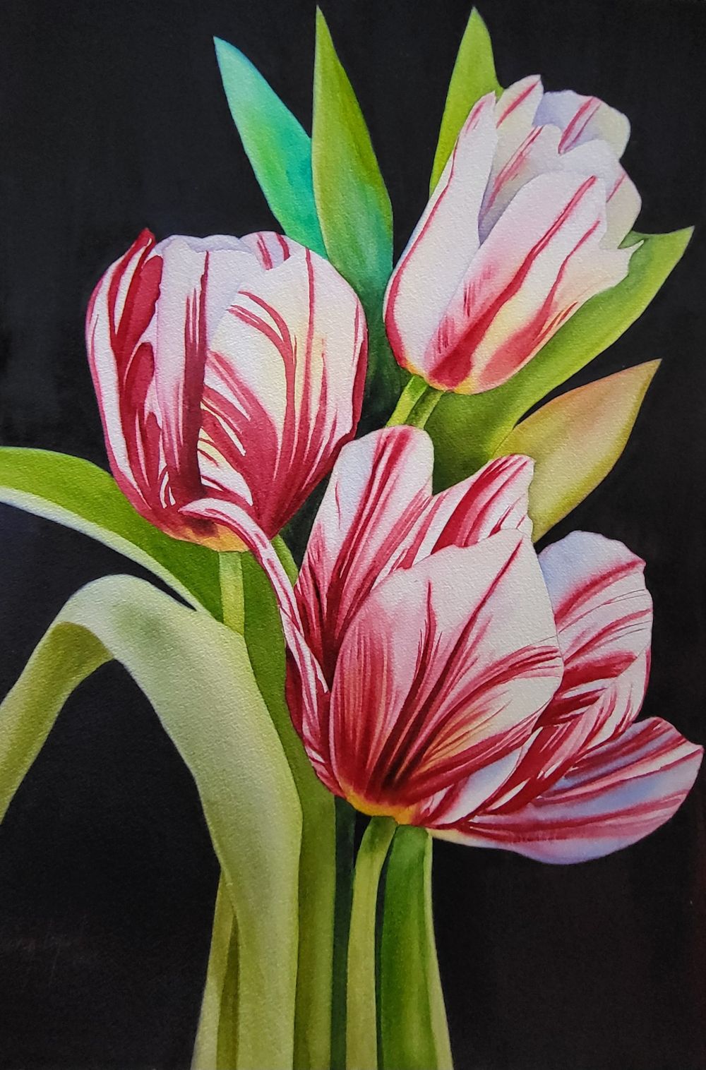 Floral “Canadian Tulip” by Janick Lorion – watercolour on paper.