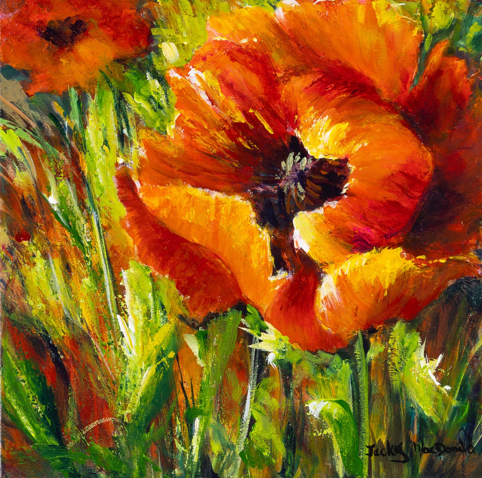One Poppy