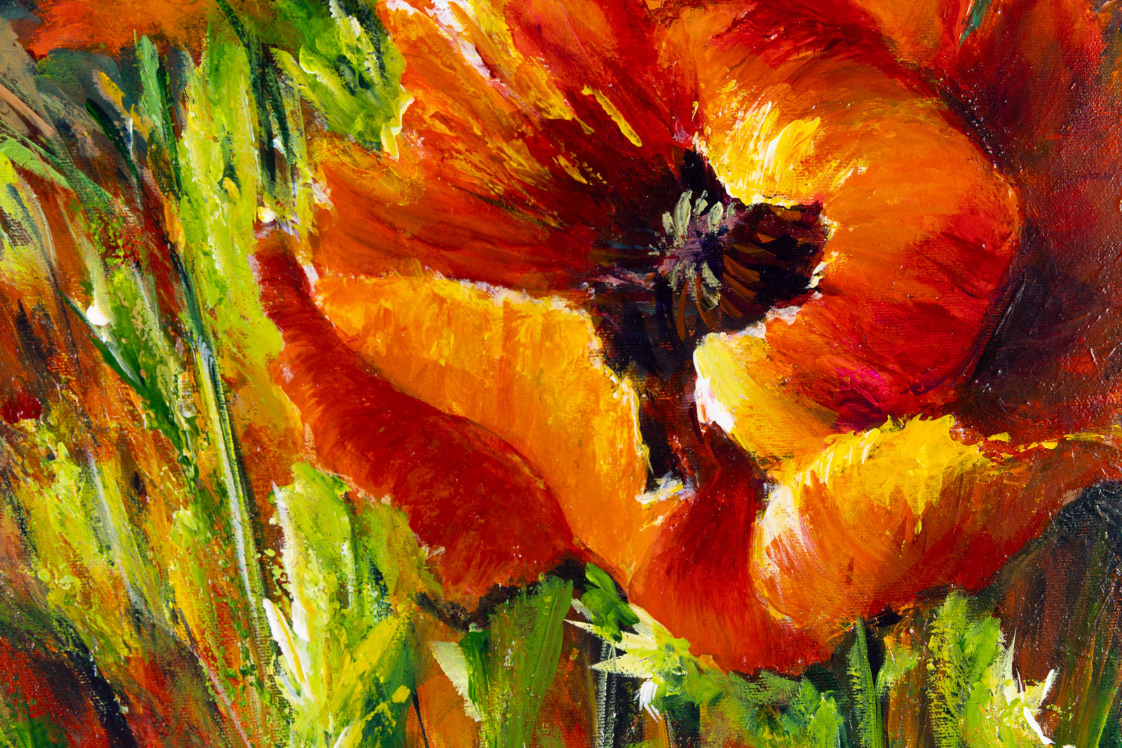 One Poppy