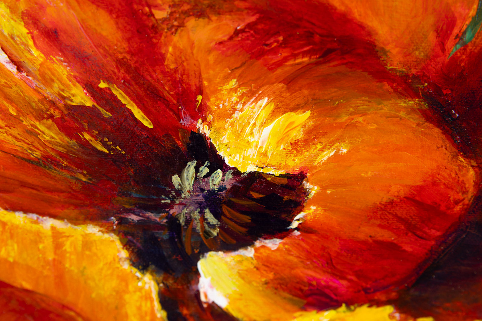 One Poppy