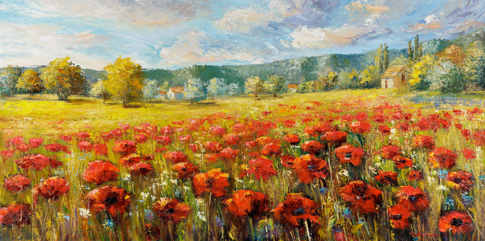 Champ De Coquelicots