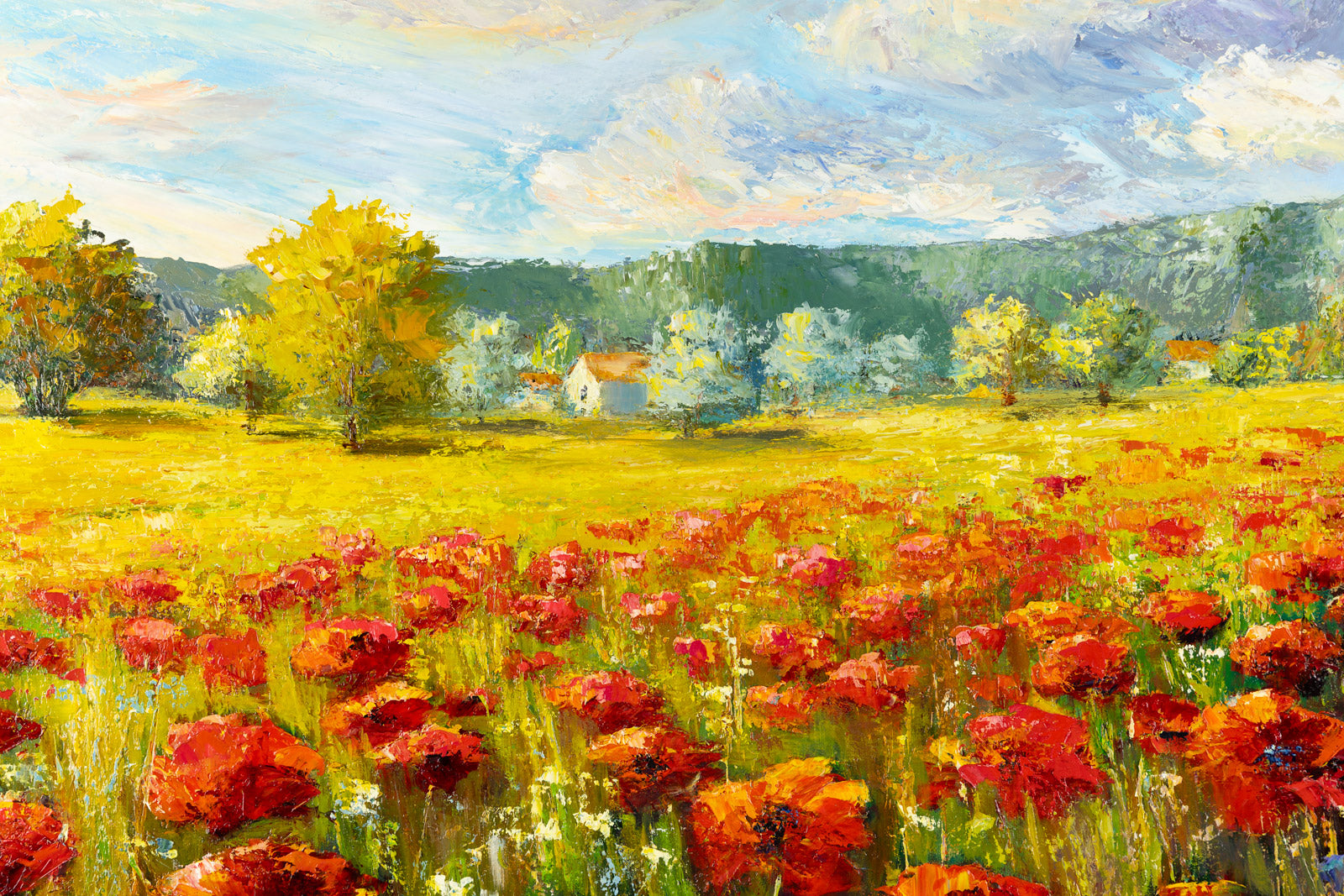 Champ De Coquelicots
