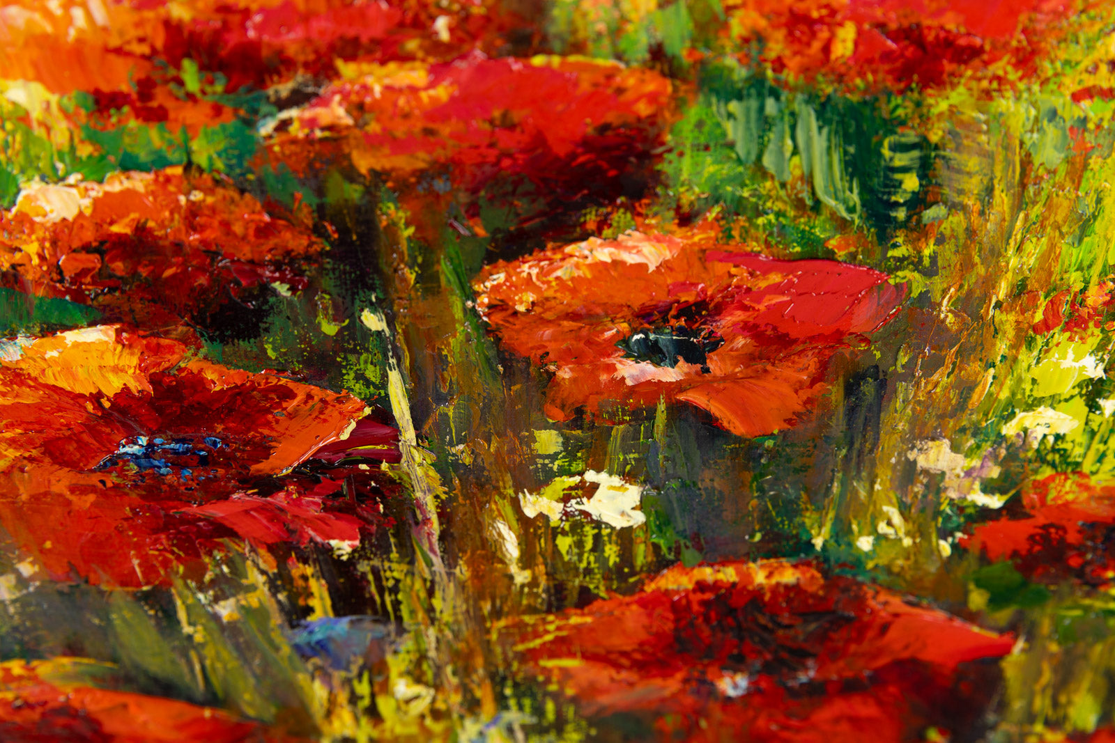 Champ De Coquelicots