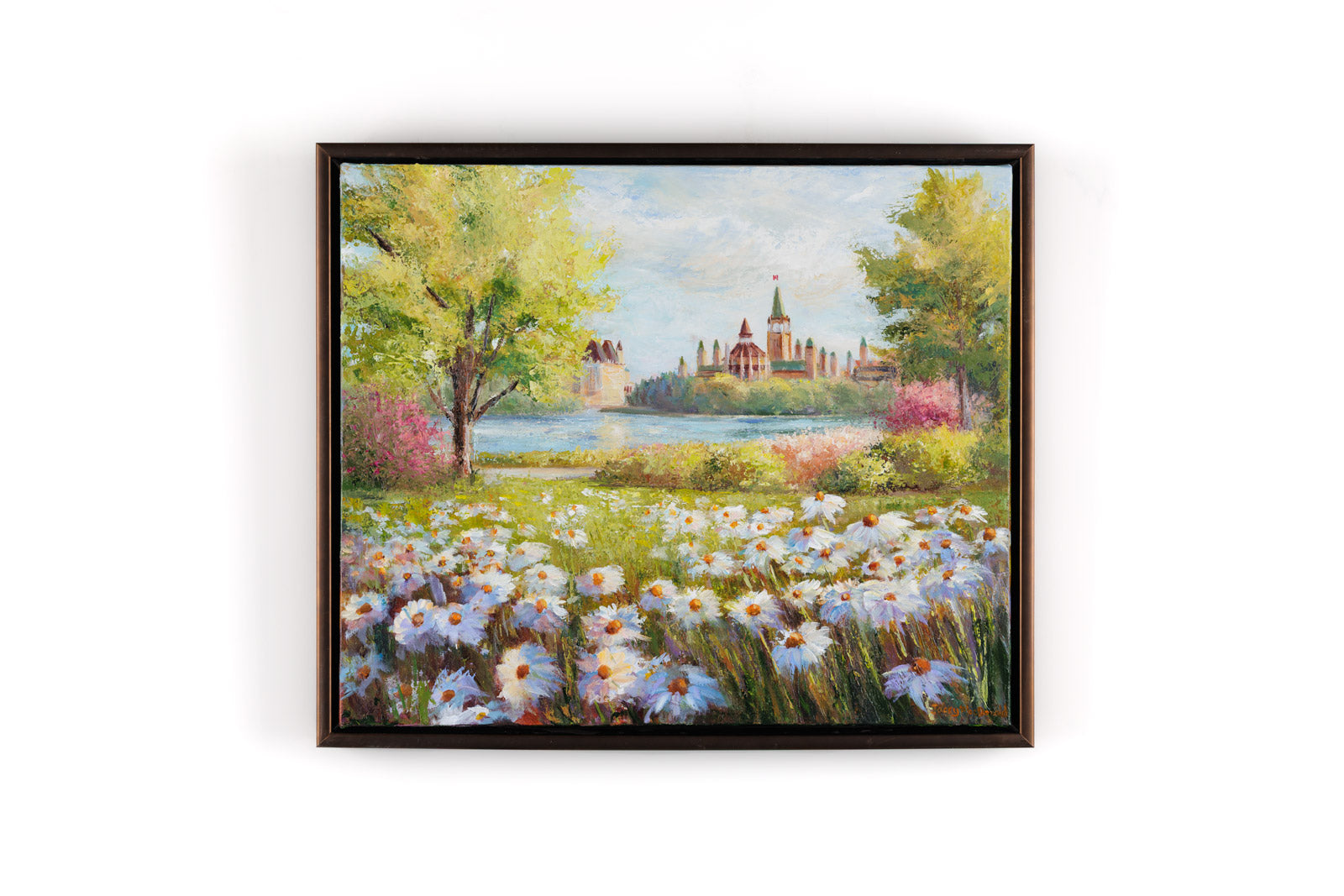 Daisies By The River