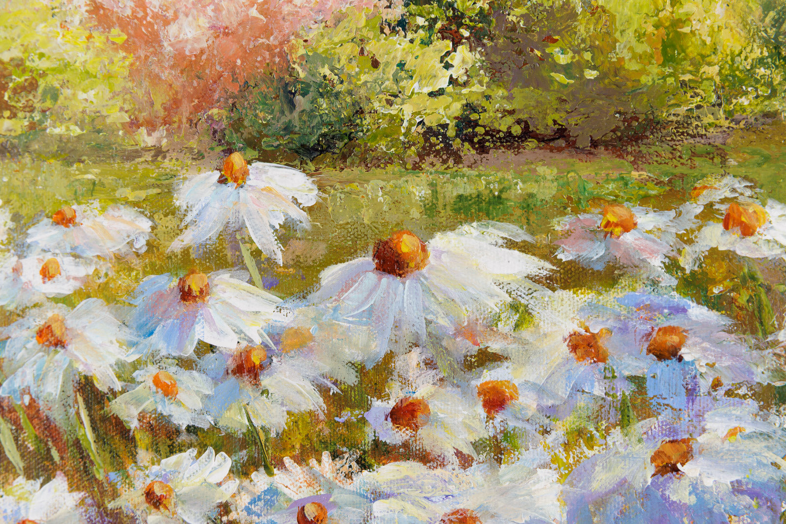 Daisies By The River
