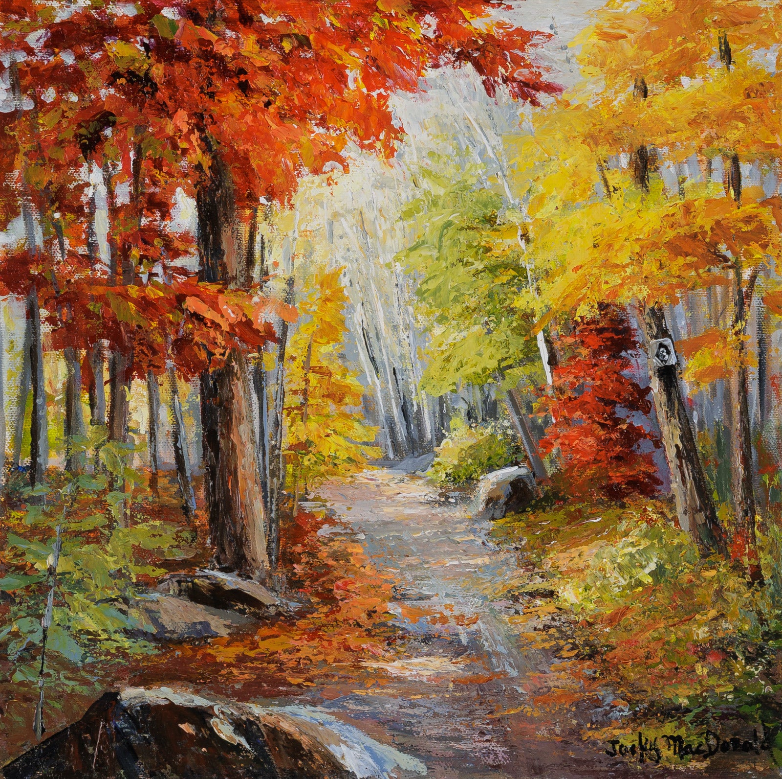 Trail #8, Gatineau Park