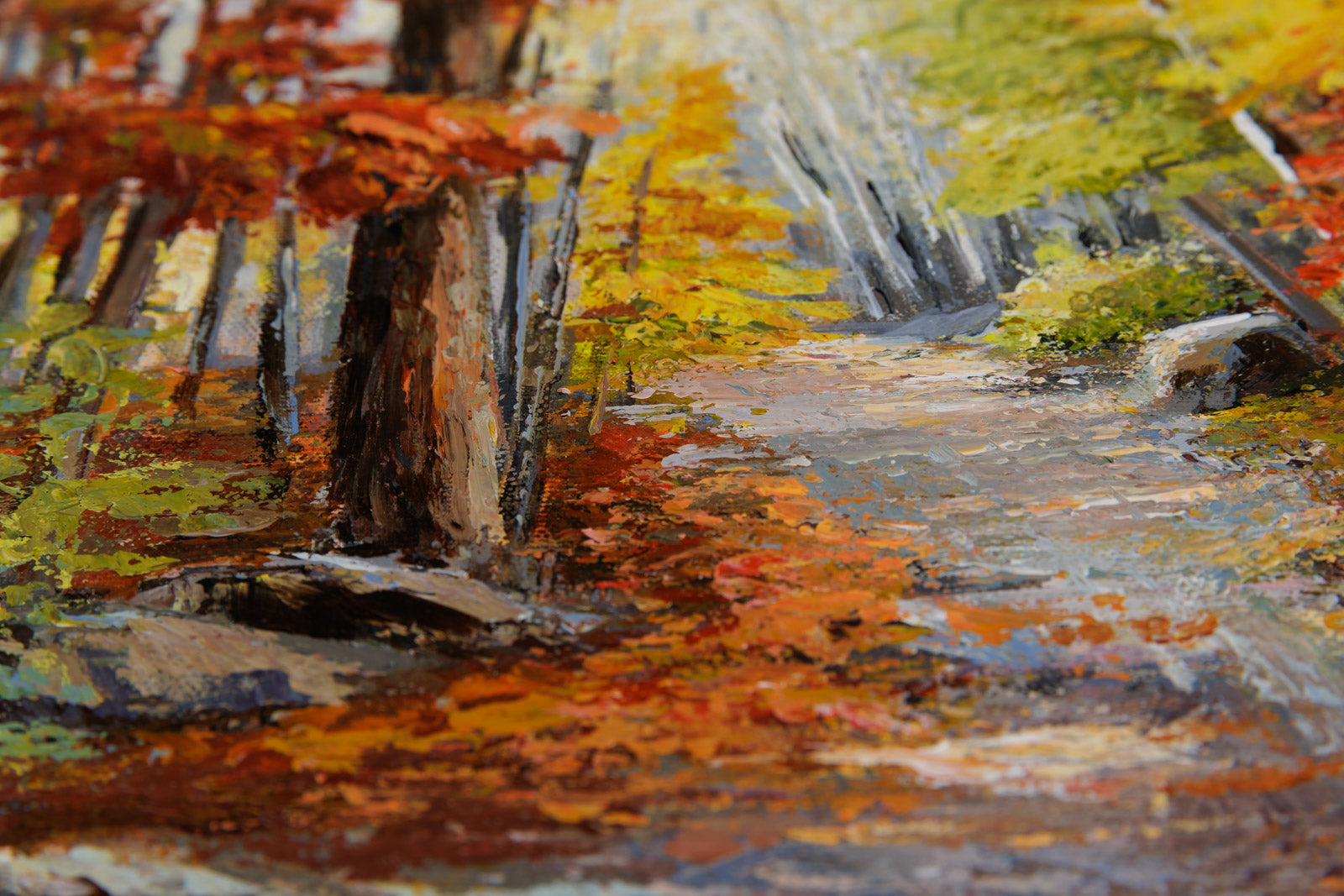 Trail #8, Gatineau Park