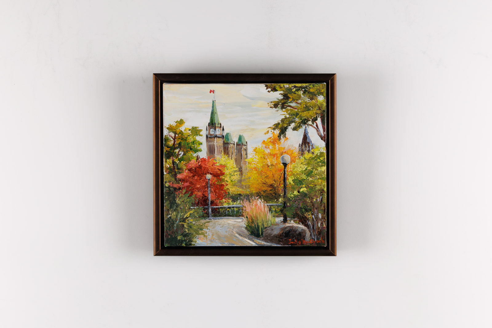 Ottawa Fall Colours