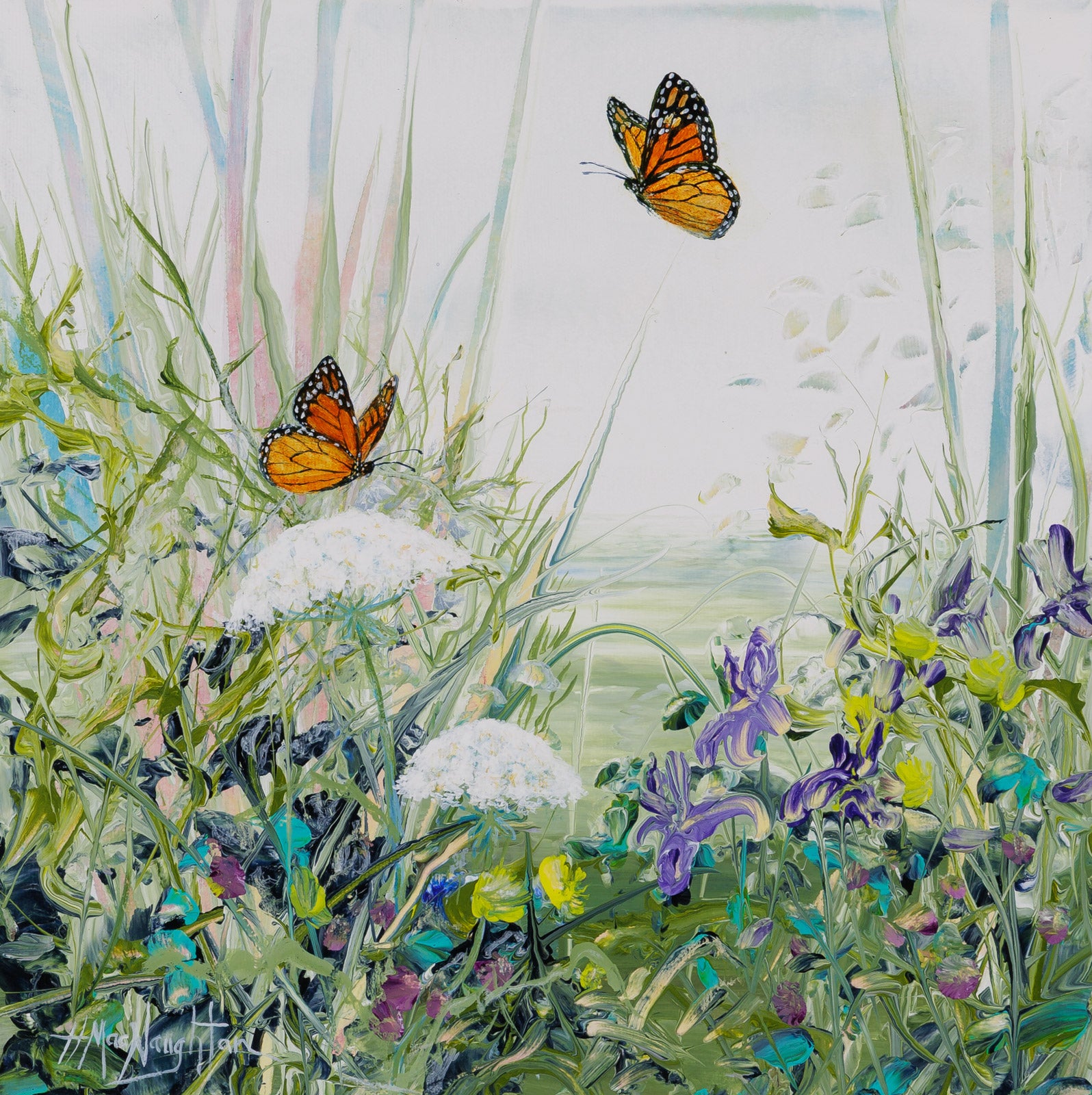 Have You Seen Any Milkweed Around Here?