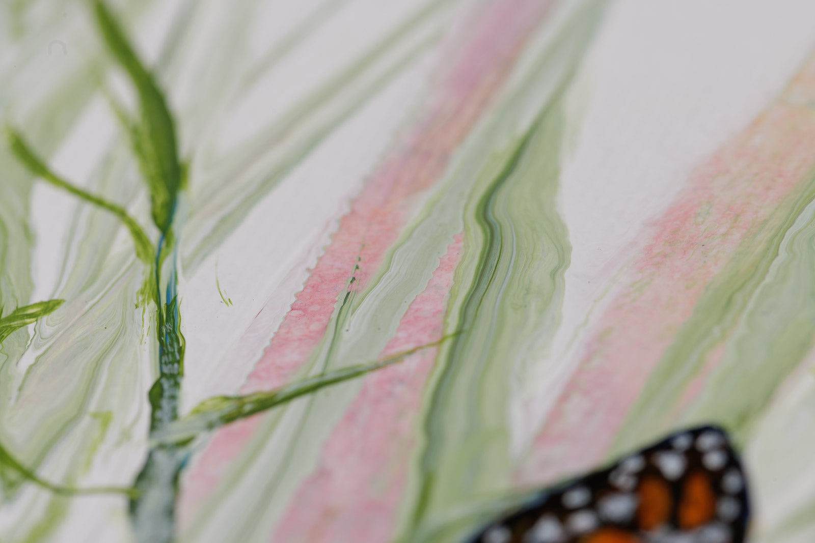 Have You Seen Any Milkweed Around Here?