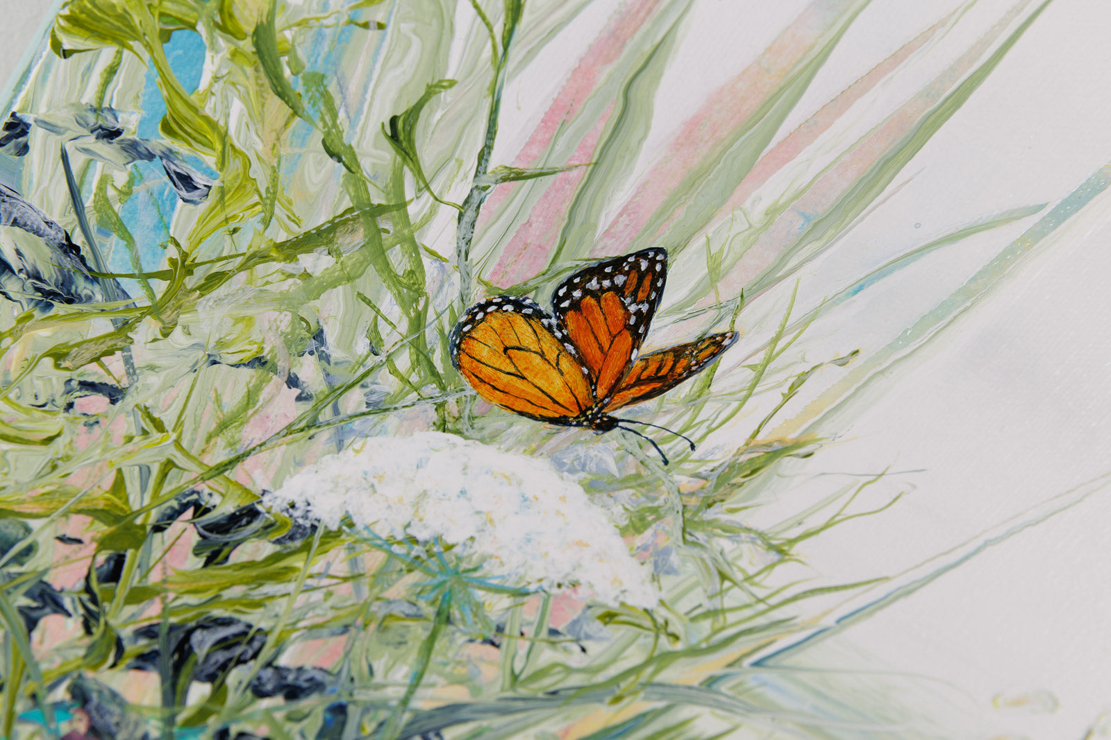 Have You Seen Any Milkweed Around Here?