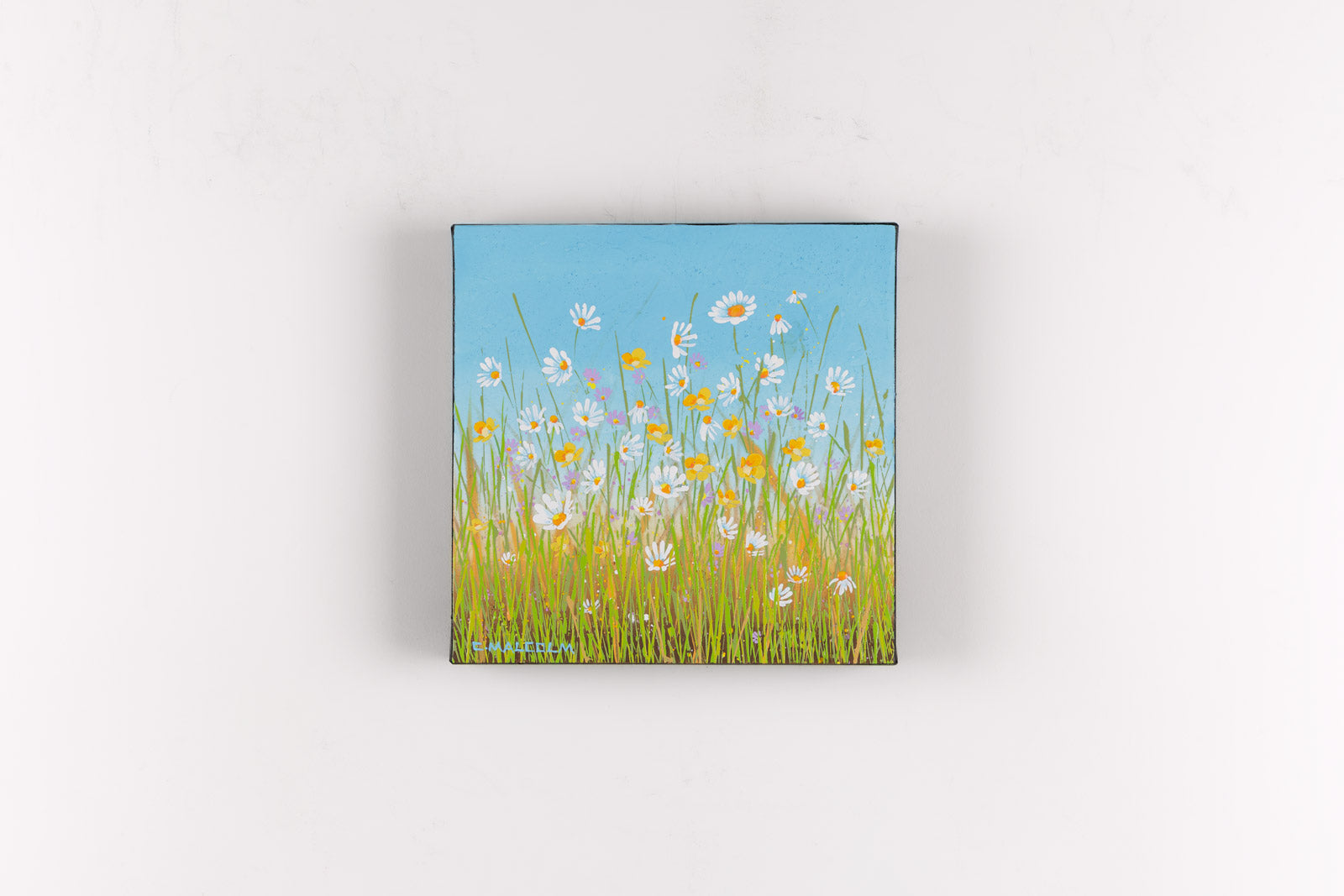 Wildflowers 12925