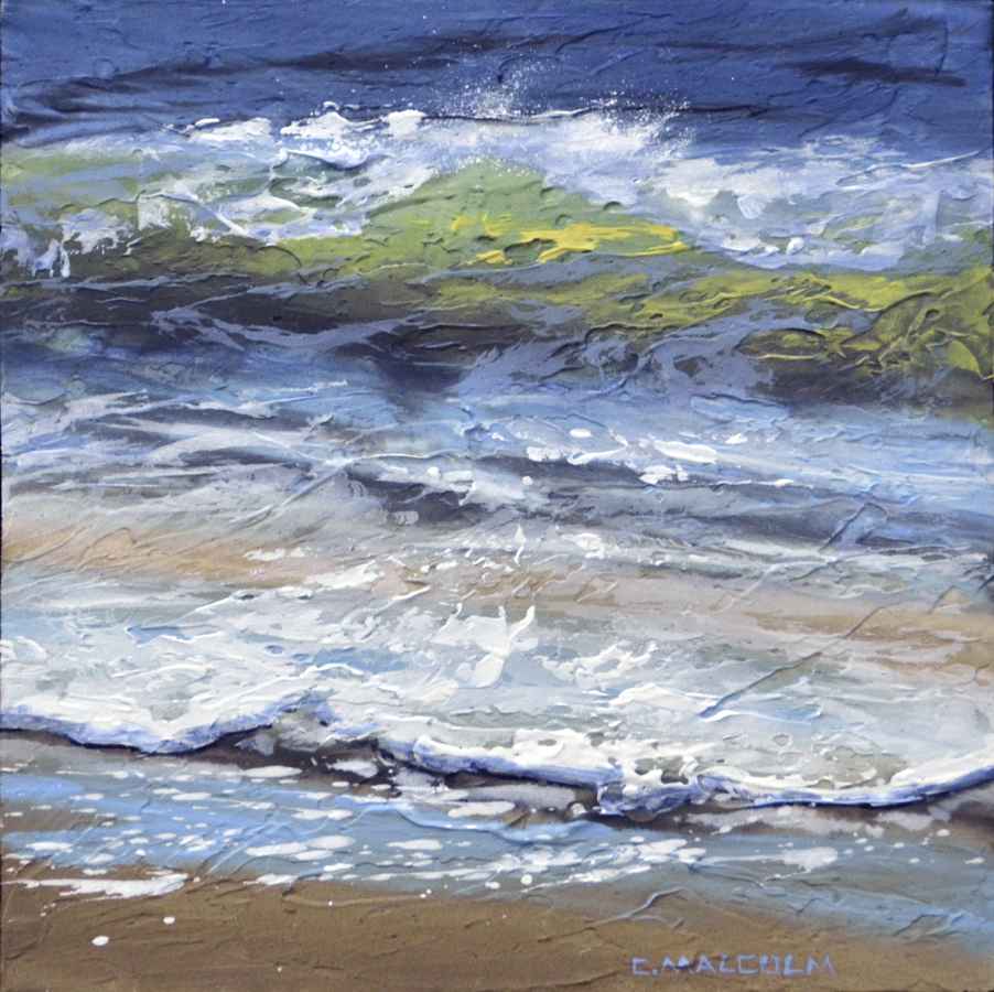 Shoreline Study 11219