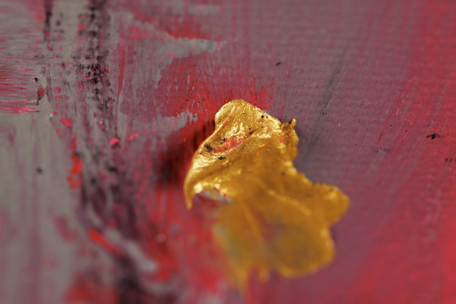 Face Nord (Fragment)