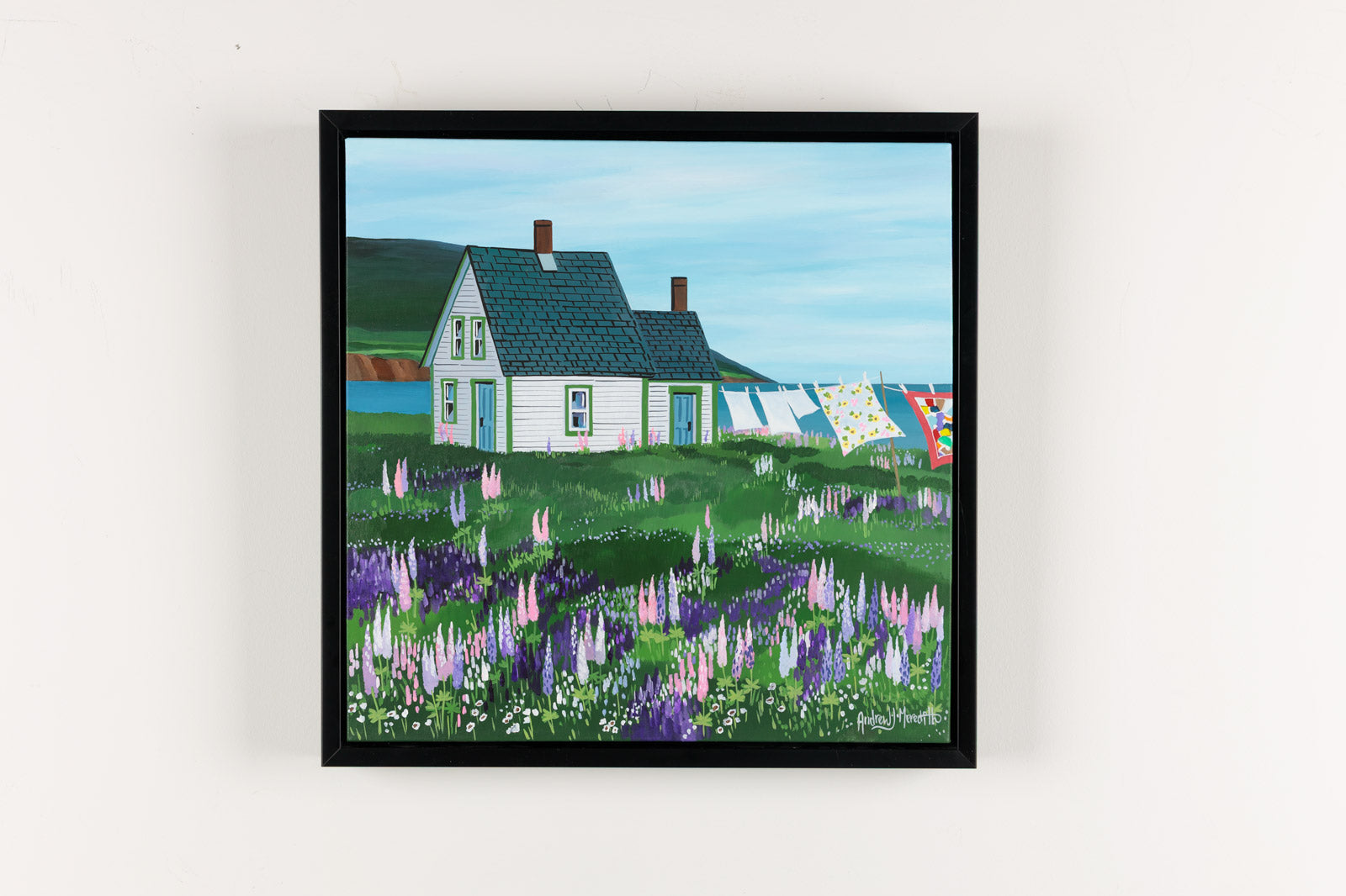 Lupines Around The House-Cape Breton