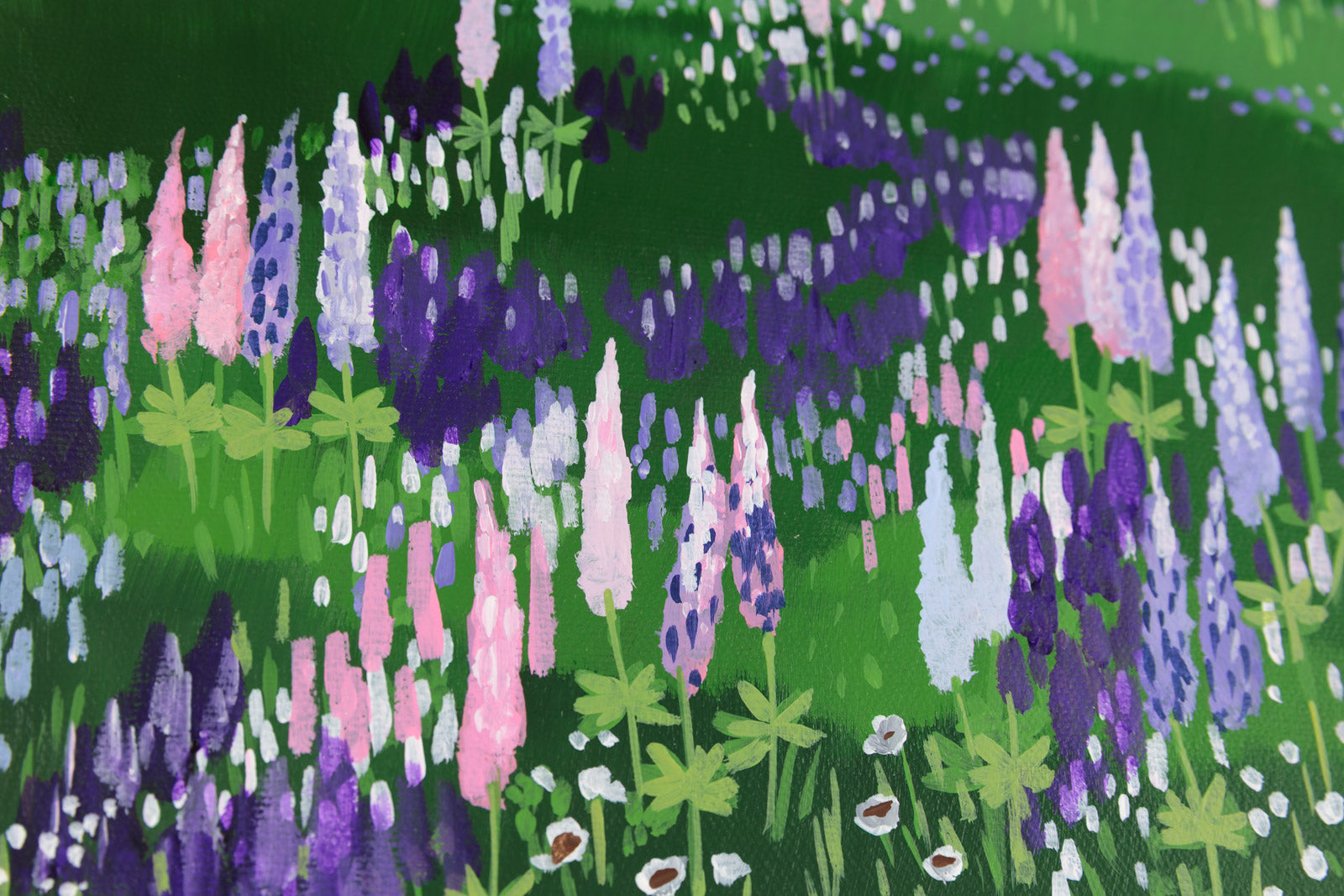 Lupines Around The House-Cape Breton