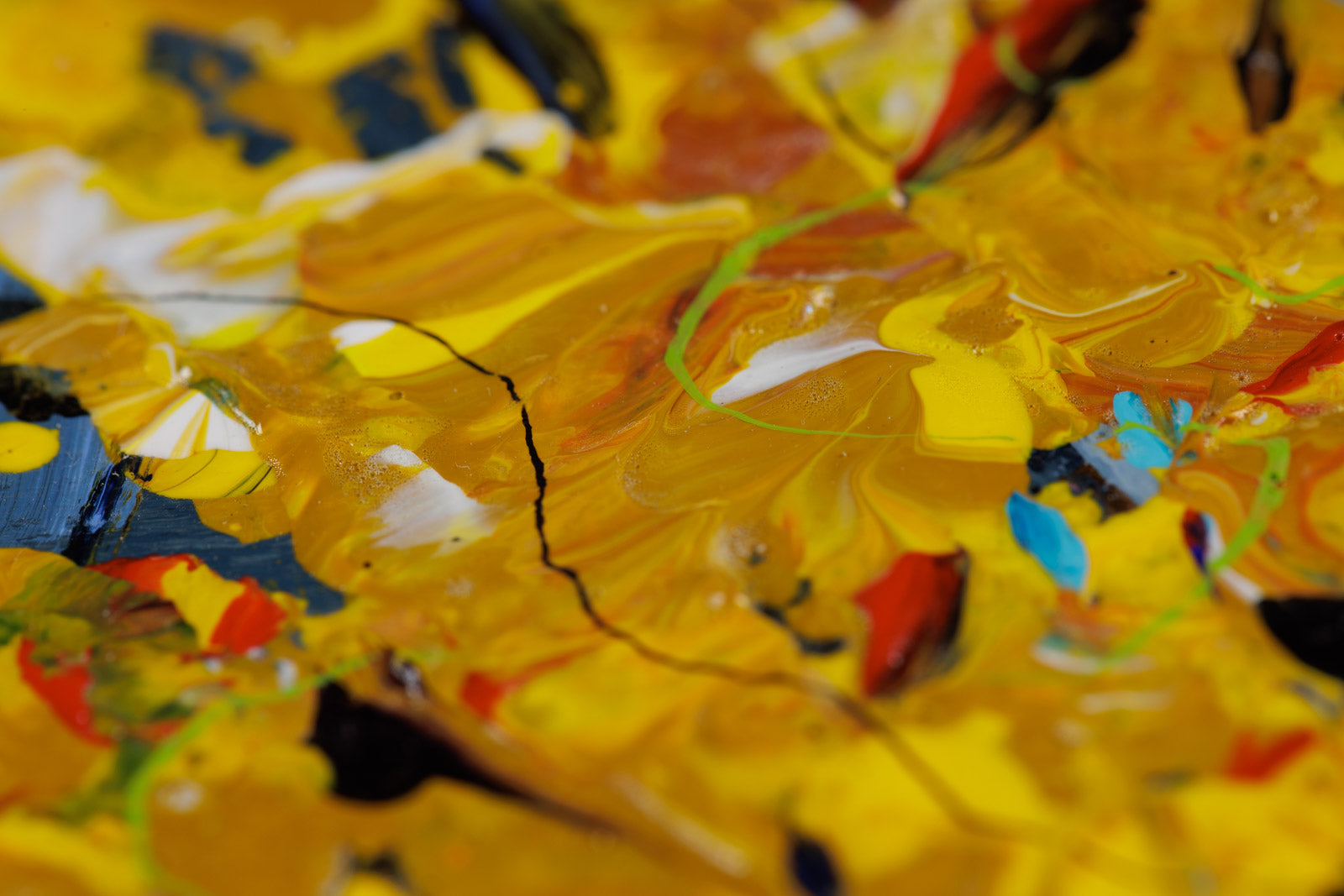 Supreme Court School Visit