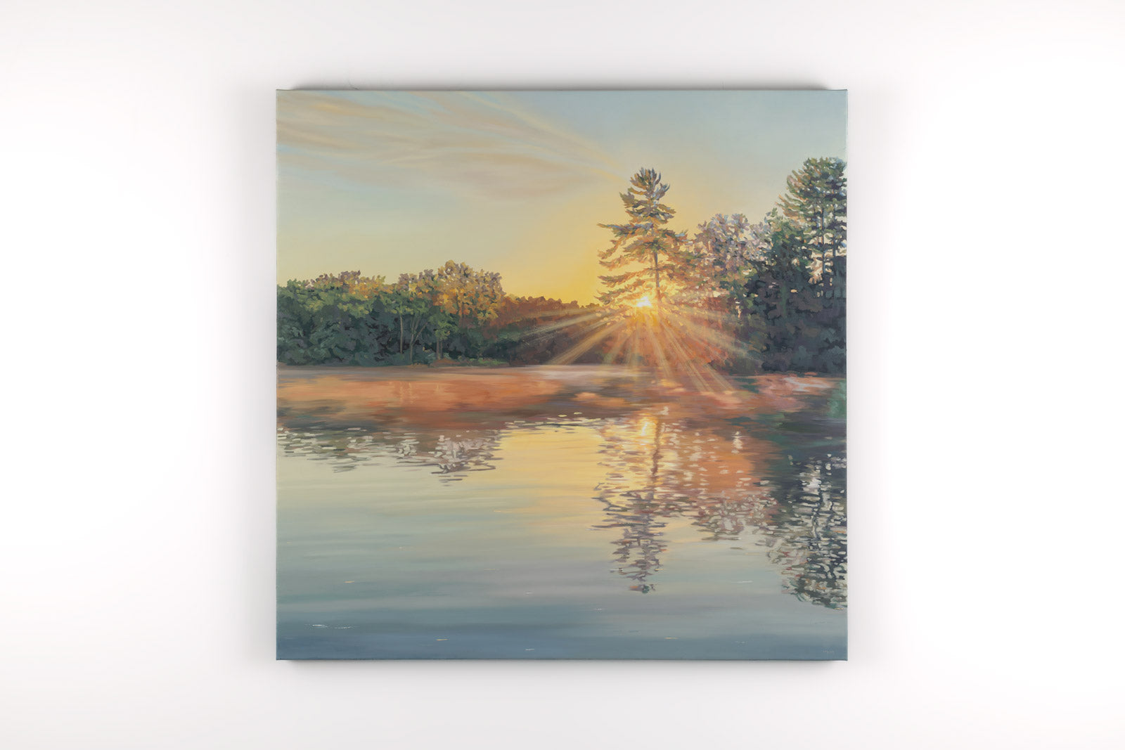 Echoes Of Sunshine